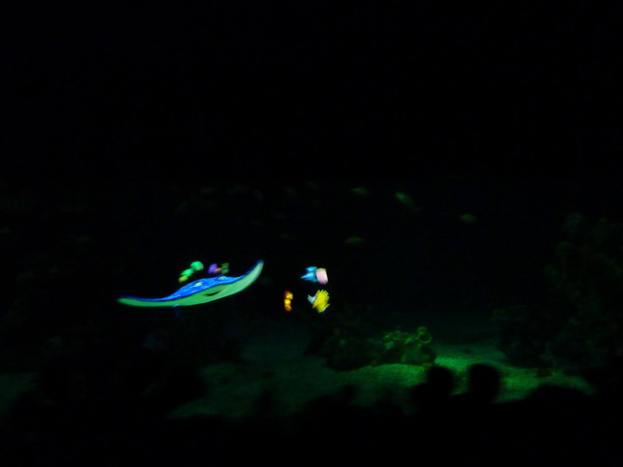 The Seas with Nemo and Friends