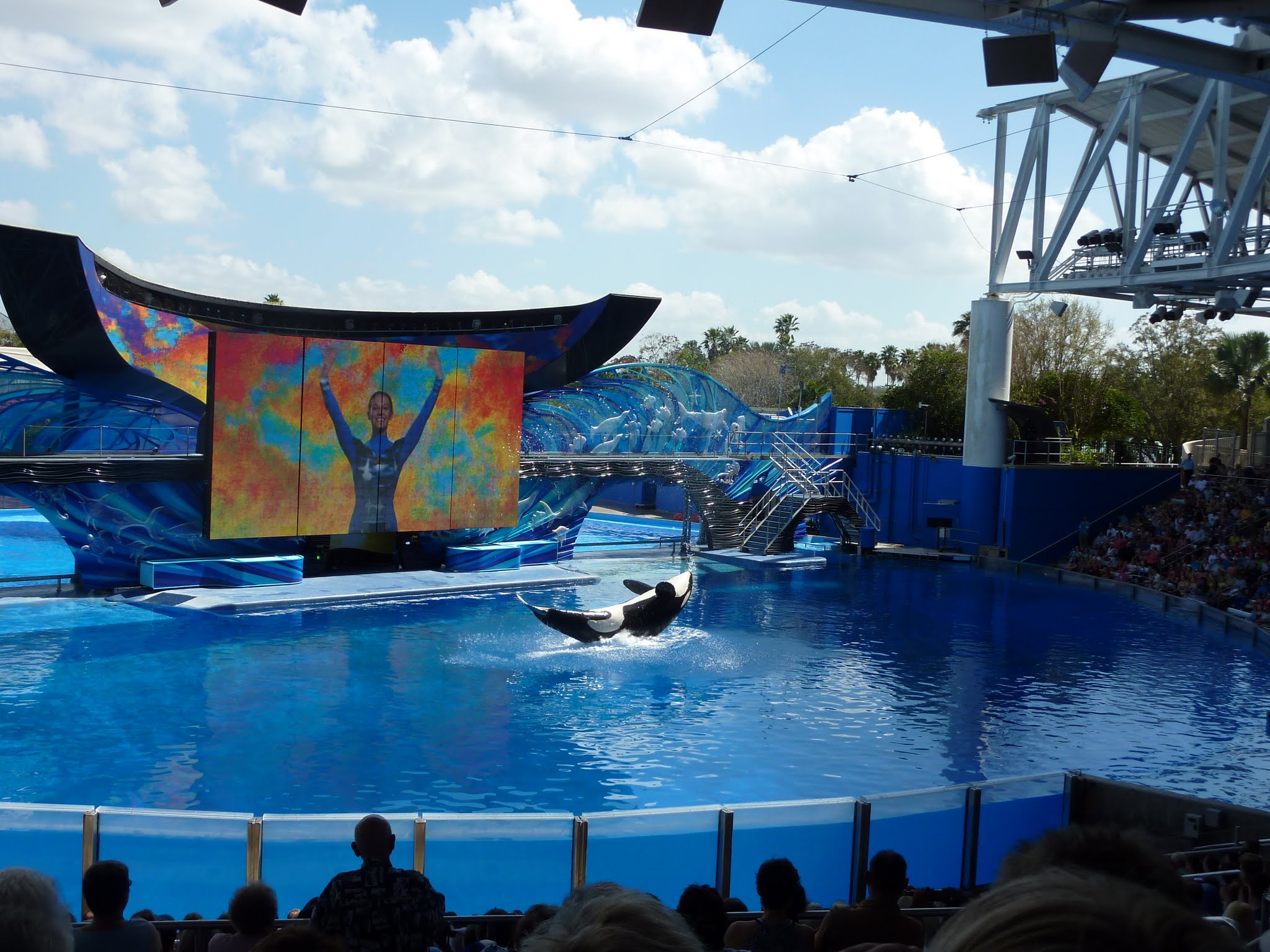 One Ocean