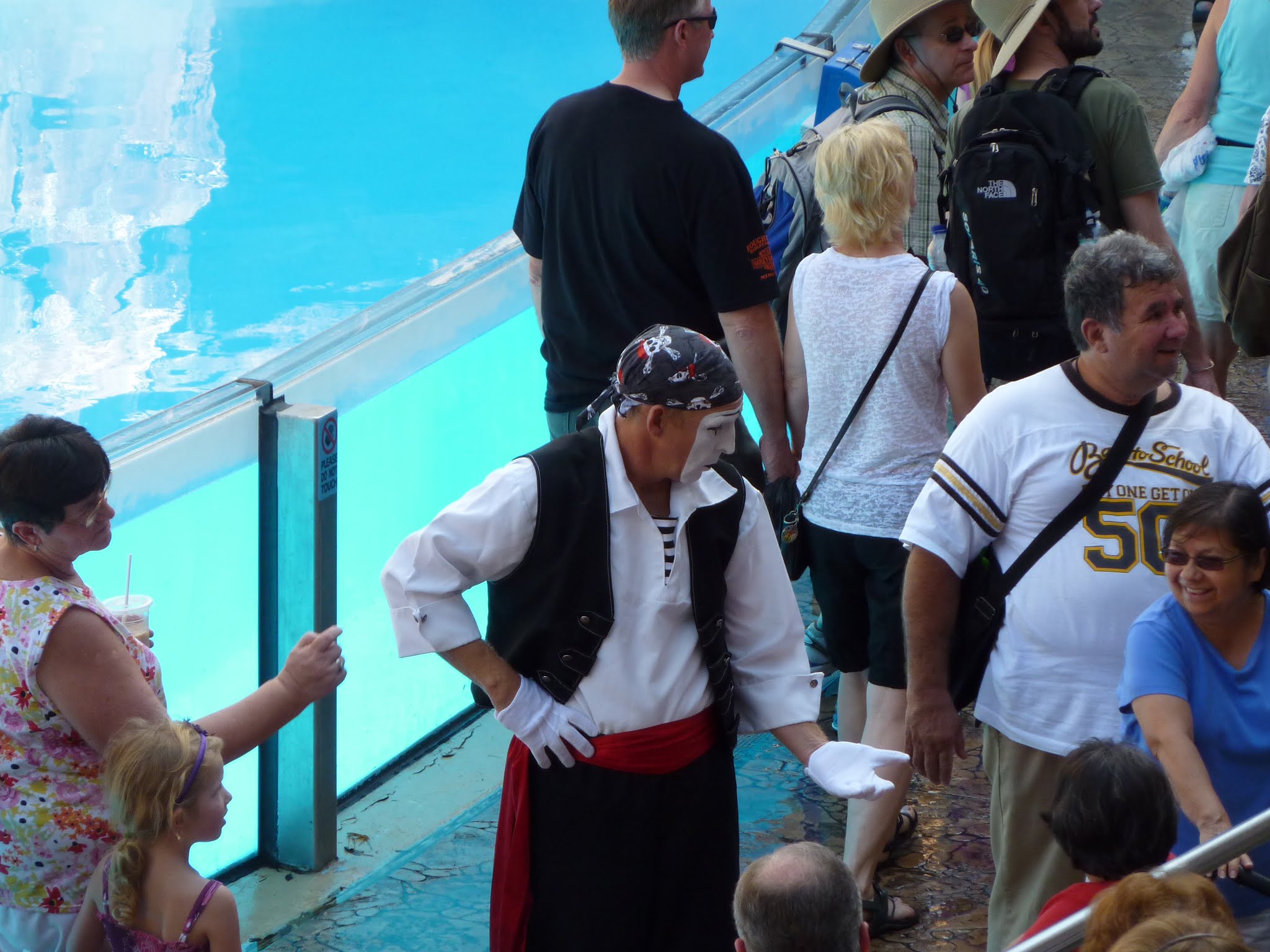 Clyde and Seamore Take Pirate Island