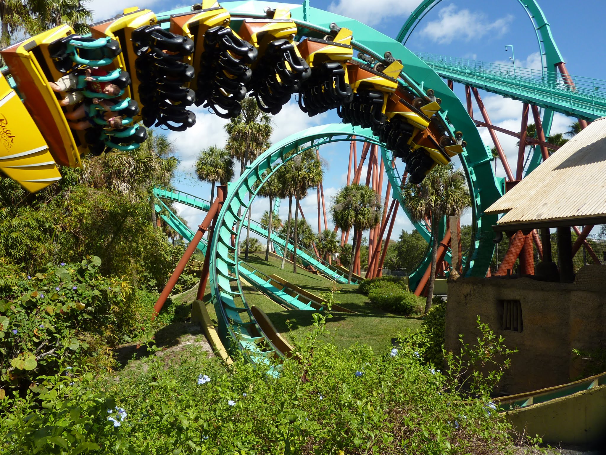 Kumba