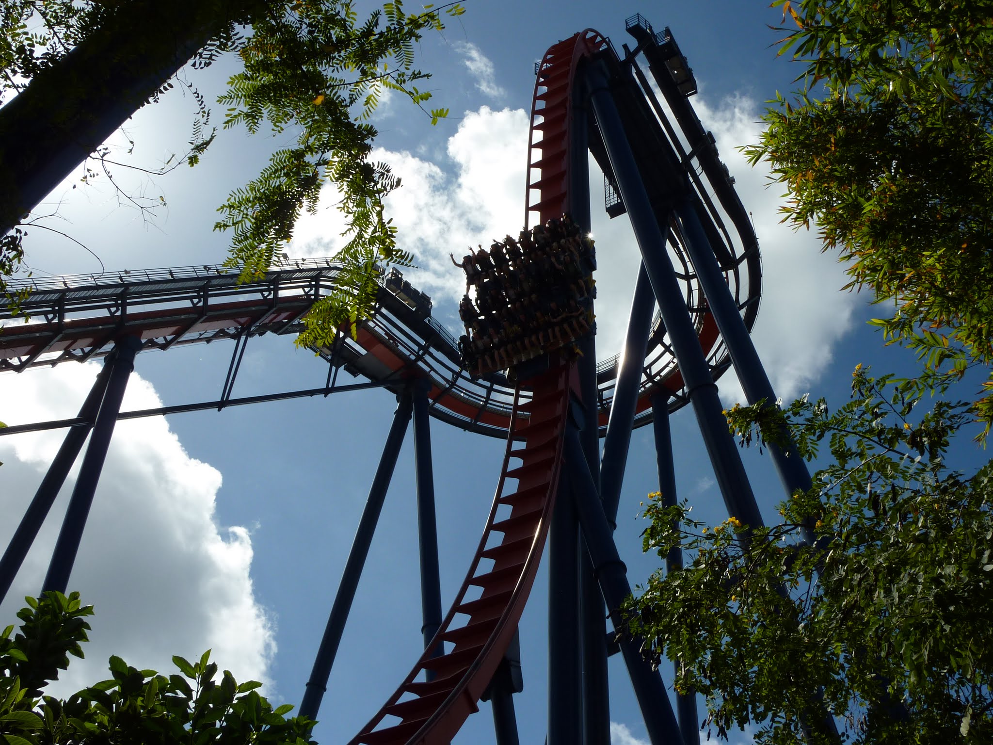 SheiKra
