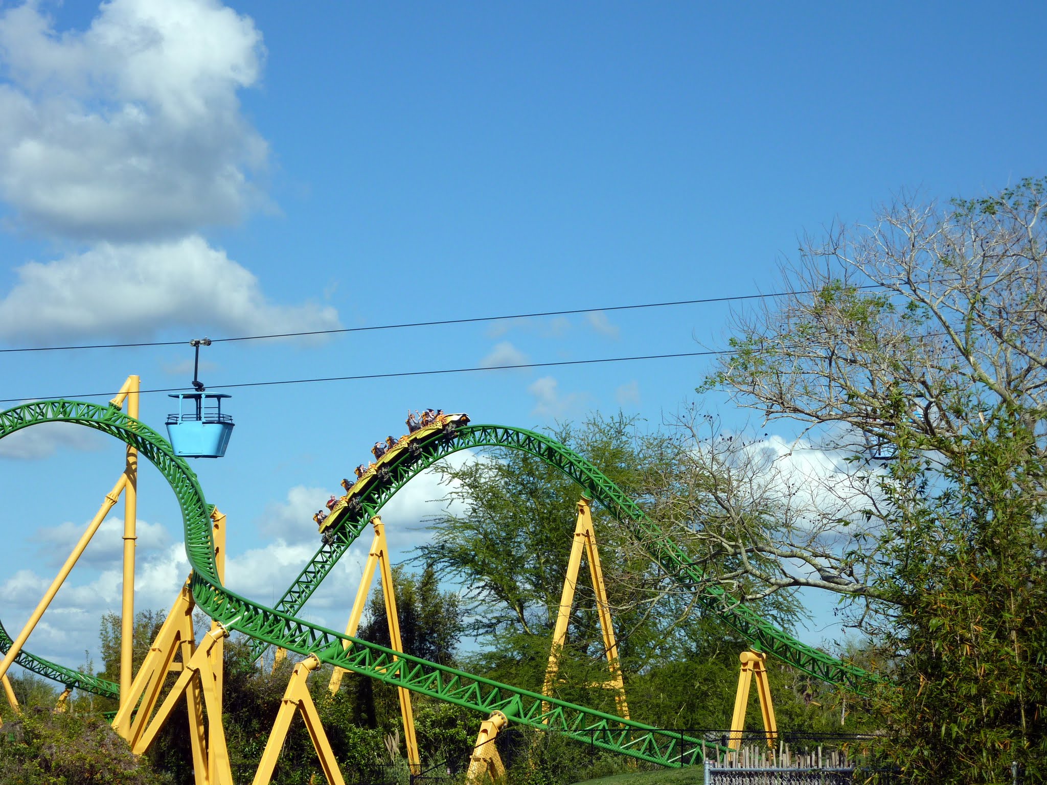 Cheetah Hunt