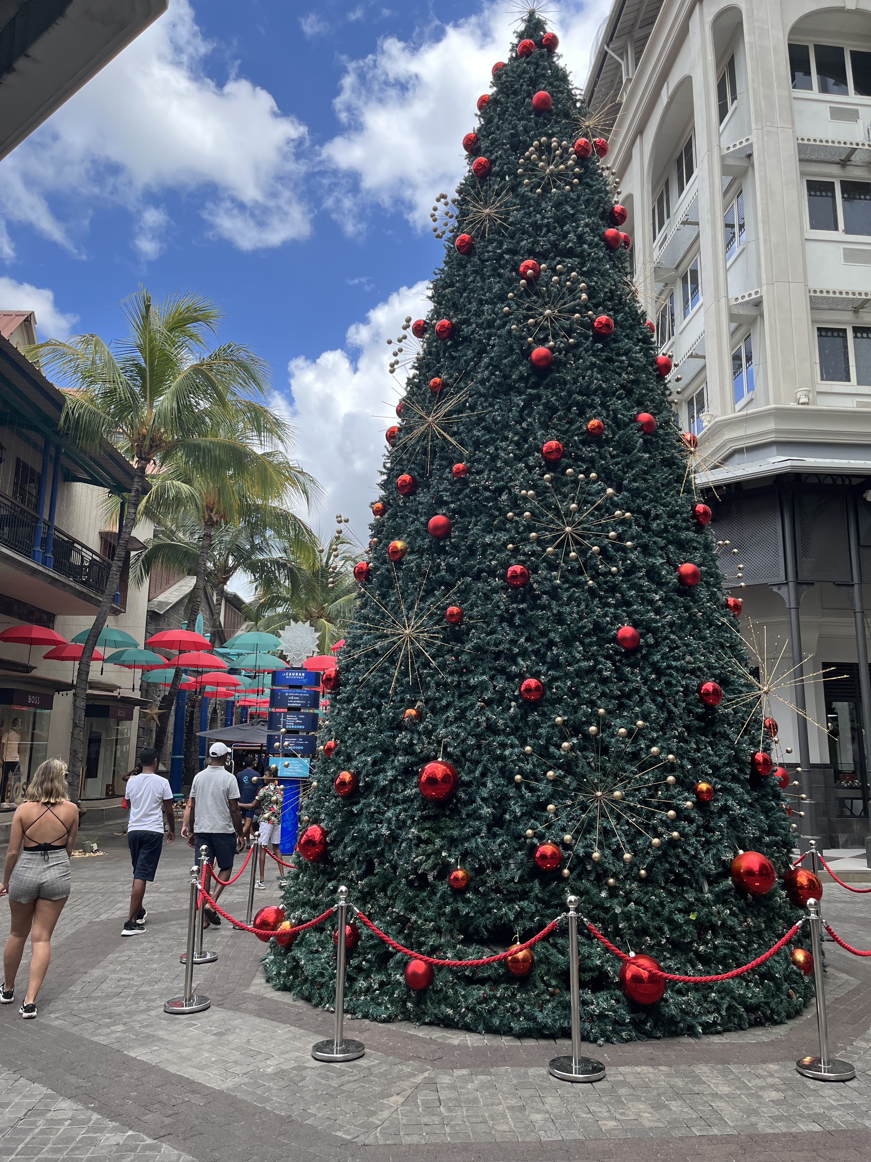Sapin et parapluies flottants au Caudan Waterfront