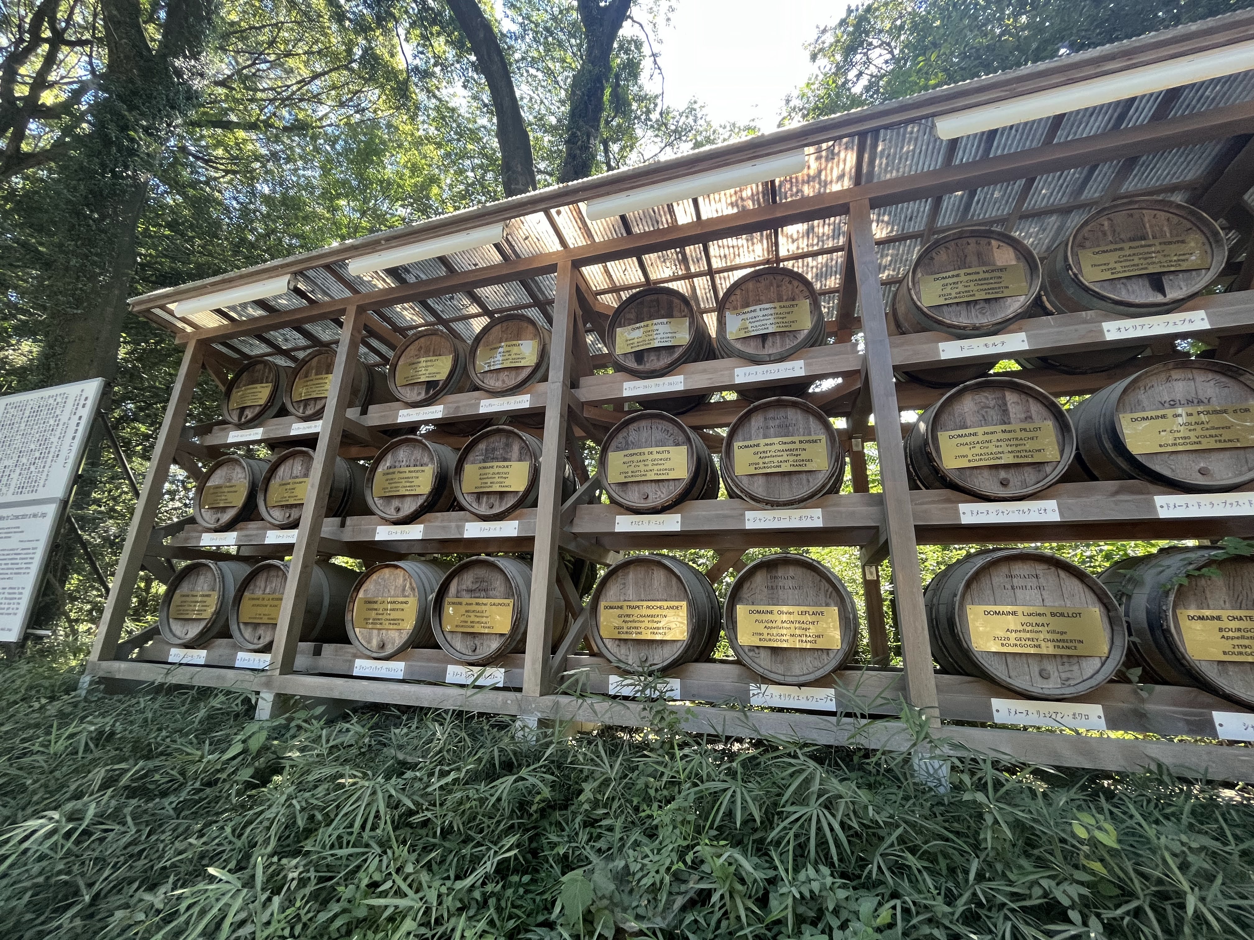 Des tonneaux de vin au Meiji-jingu