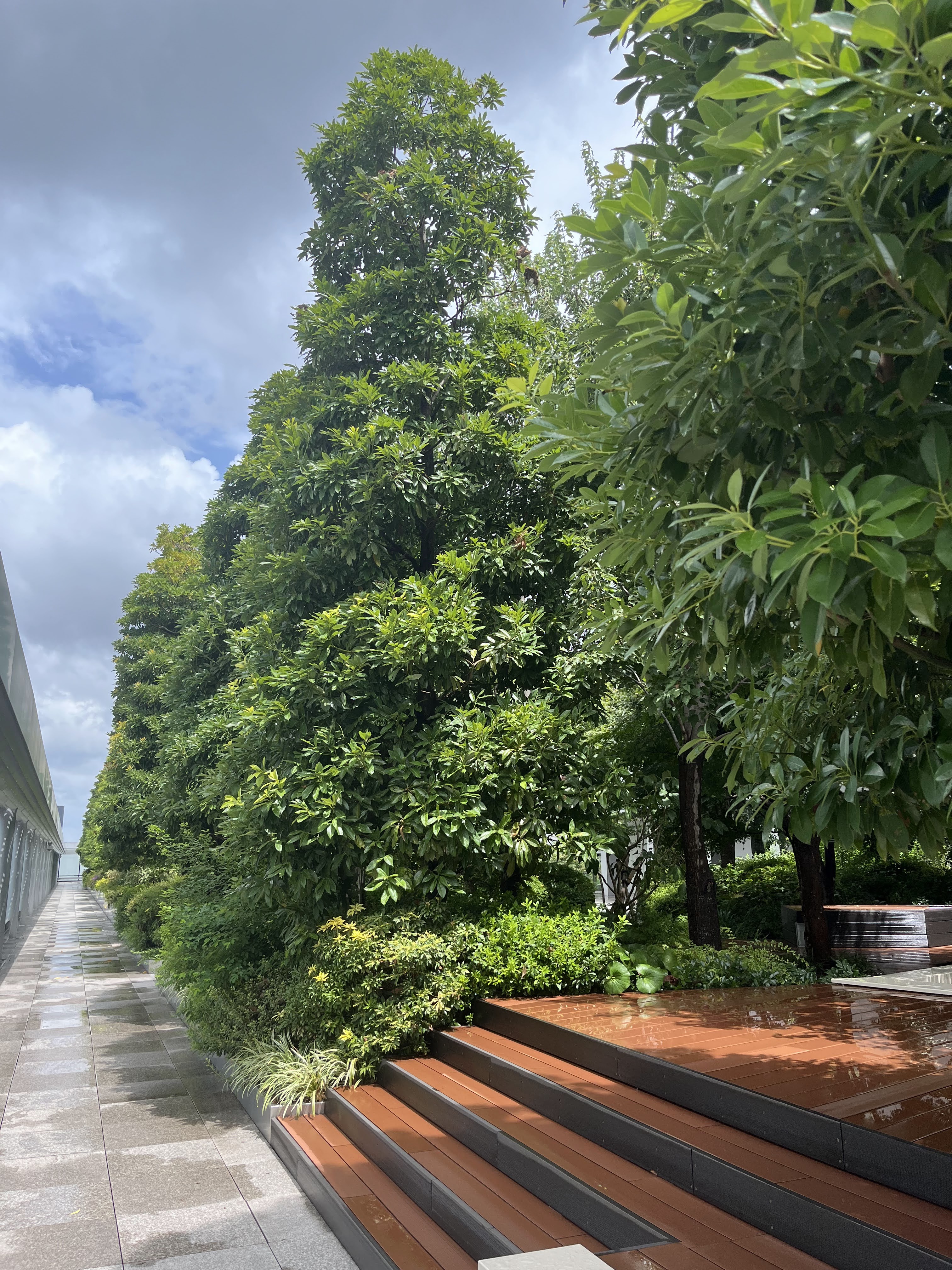 Rooftop du centre commercial Ginza Six