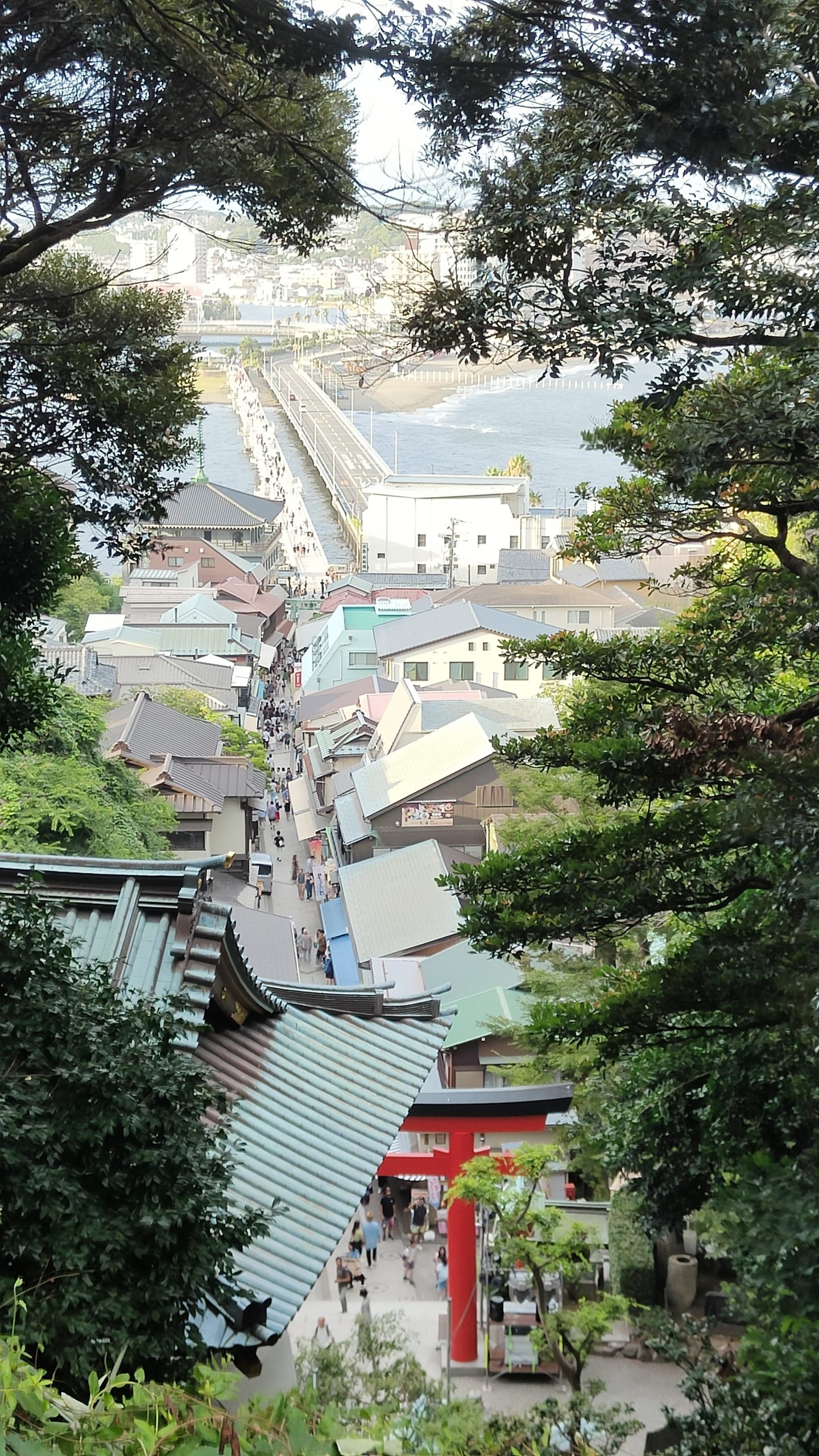 Vue sur Enoshima