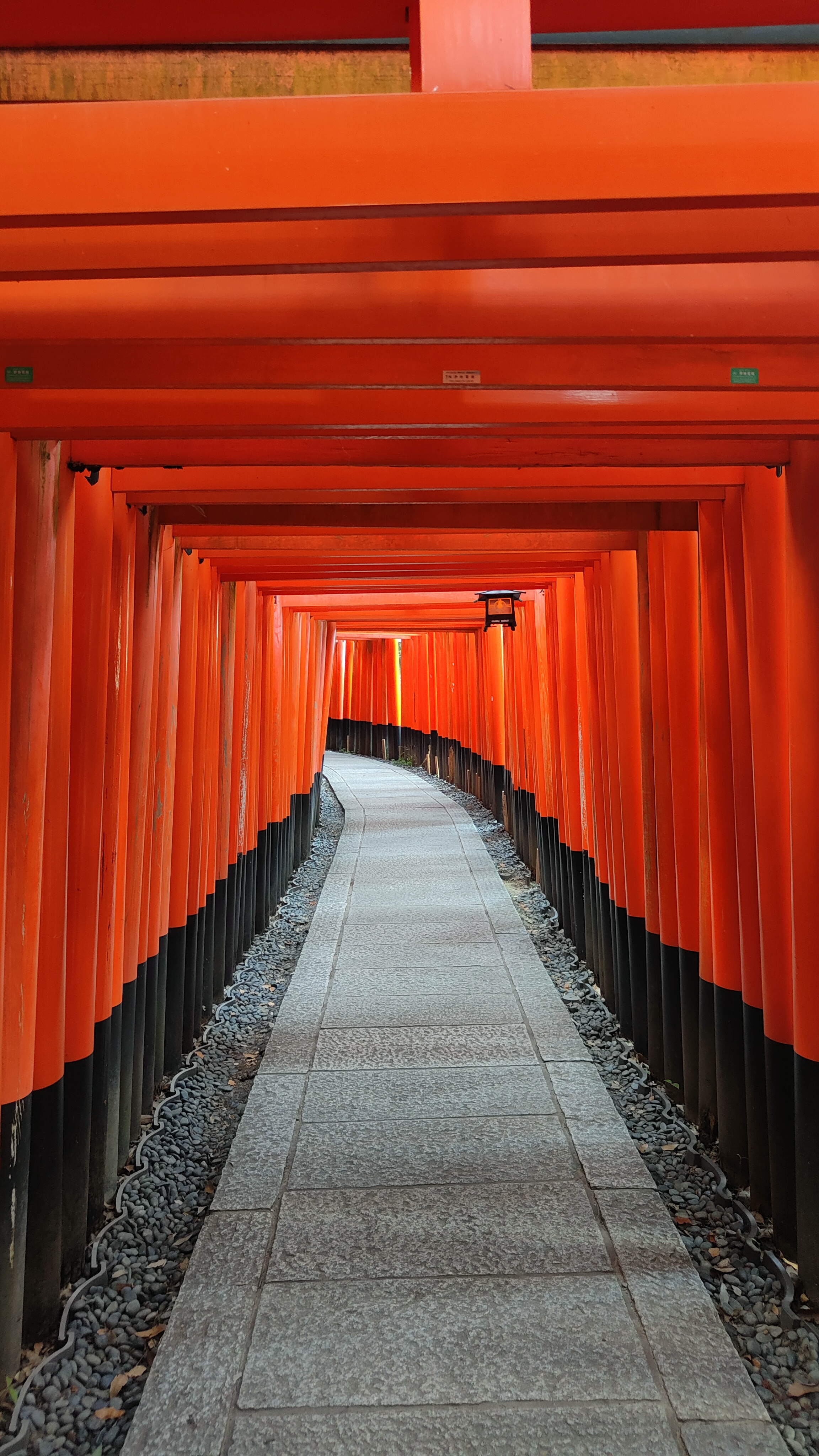 Les toriis du Fushimi Inari Taisha