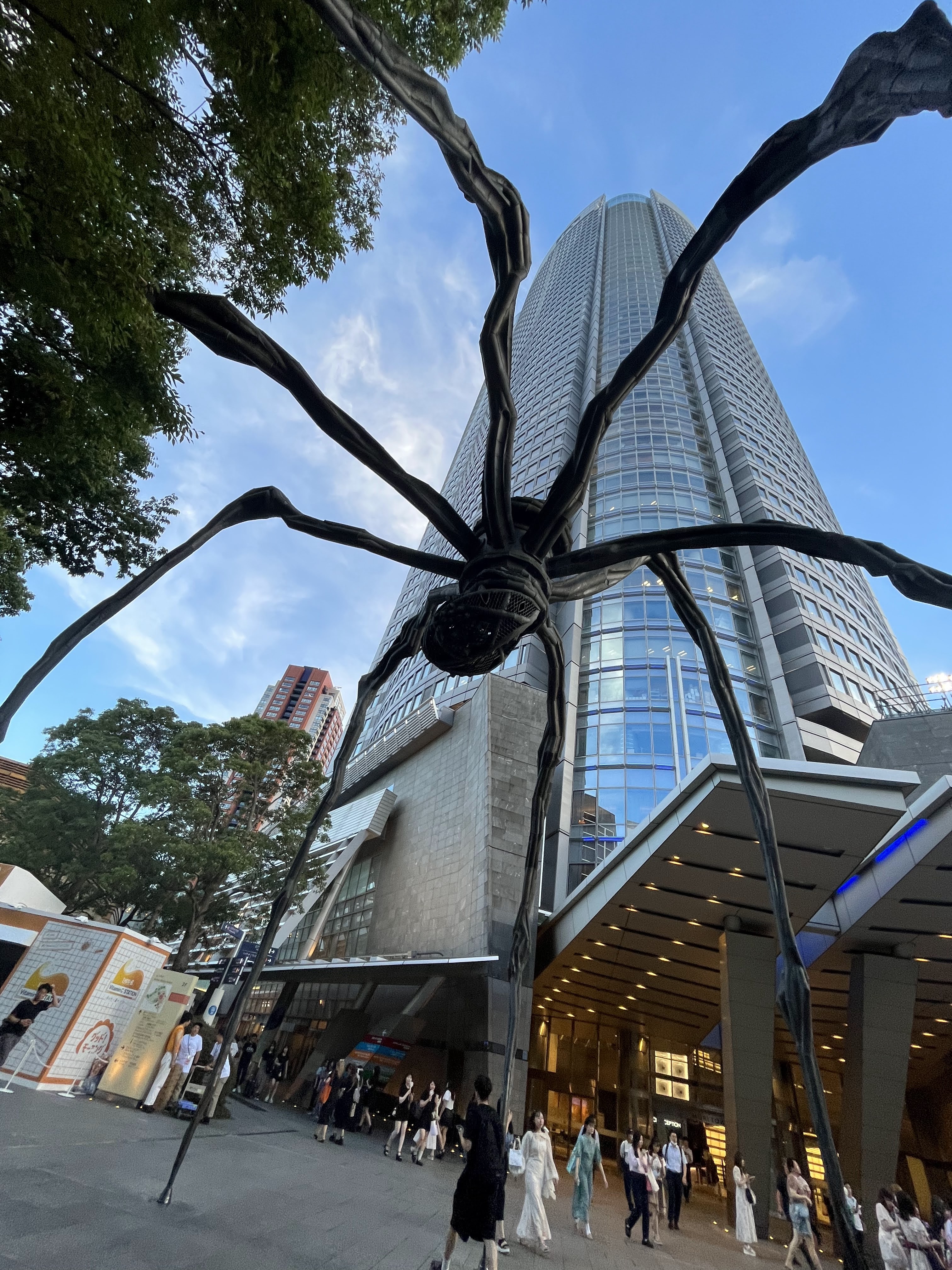 Araignée de Roppongi