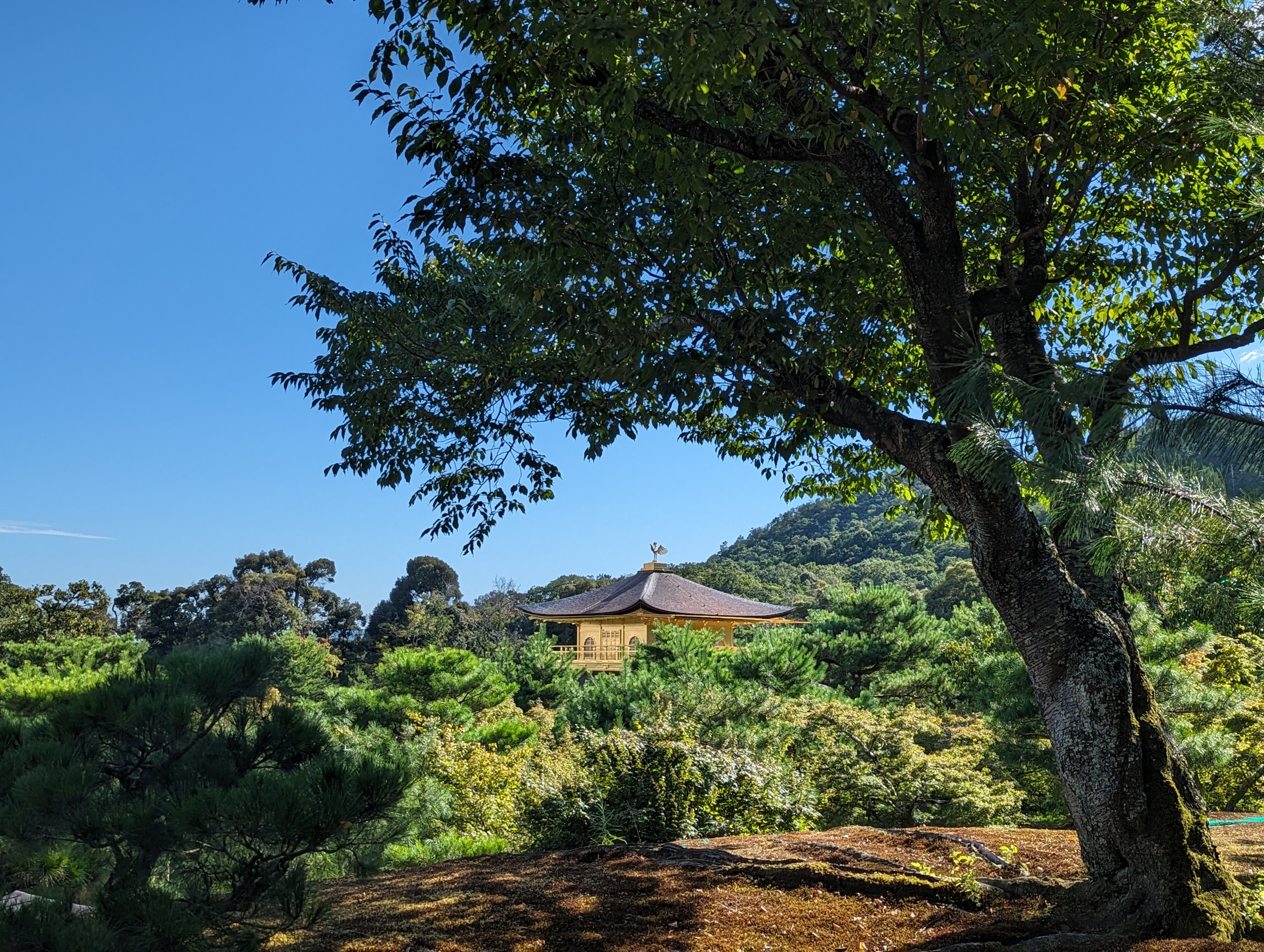 Kinkaku-ji, le Pavillon d'Or