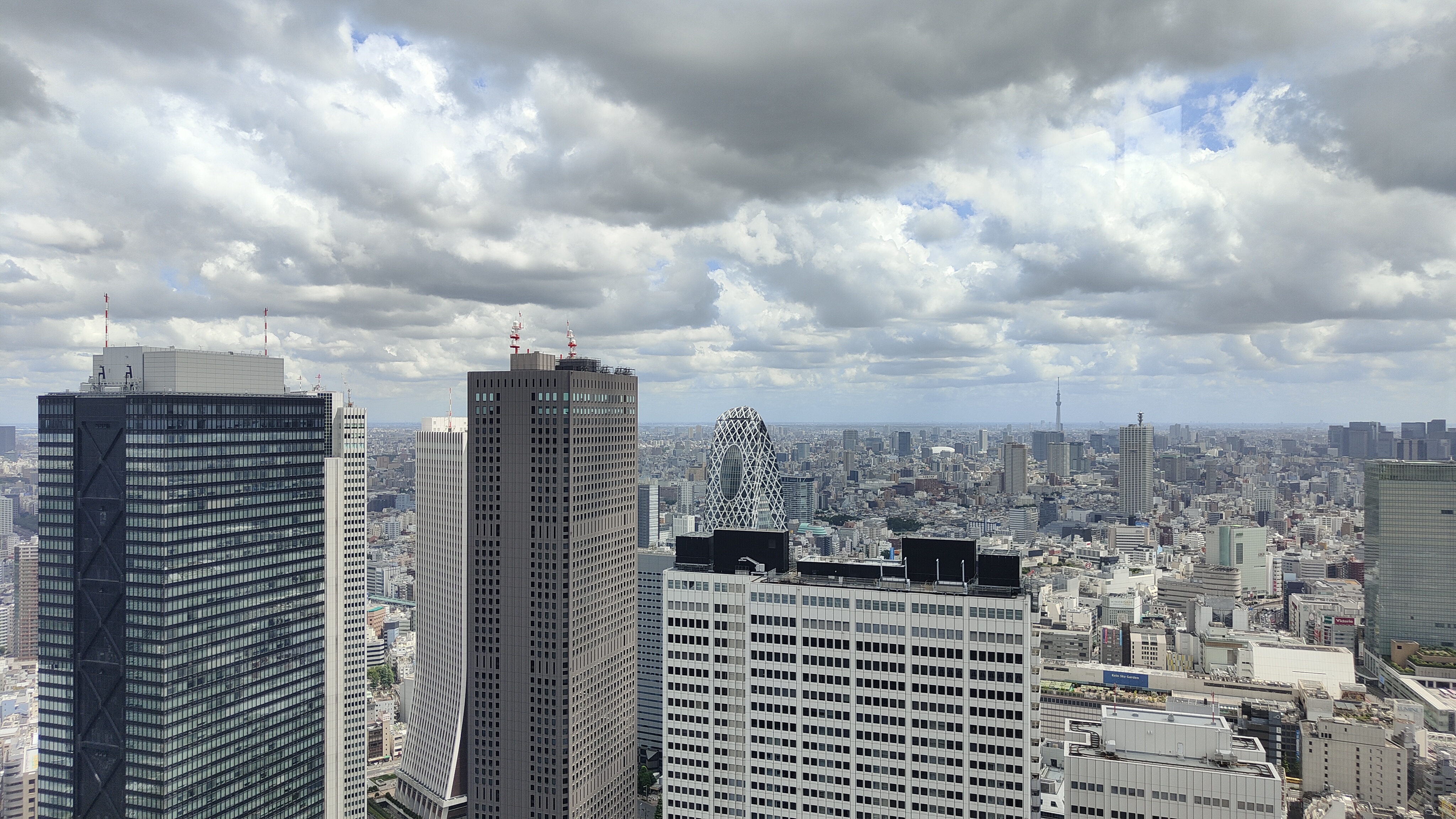 Vue depuis le siège du gouvernement métropolitain de Tokyo
