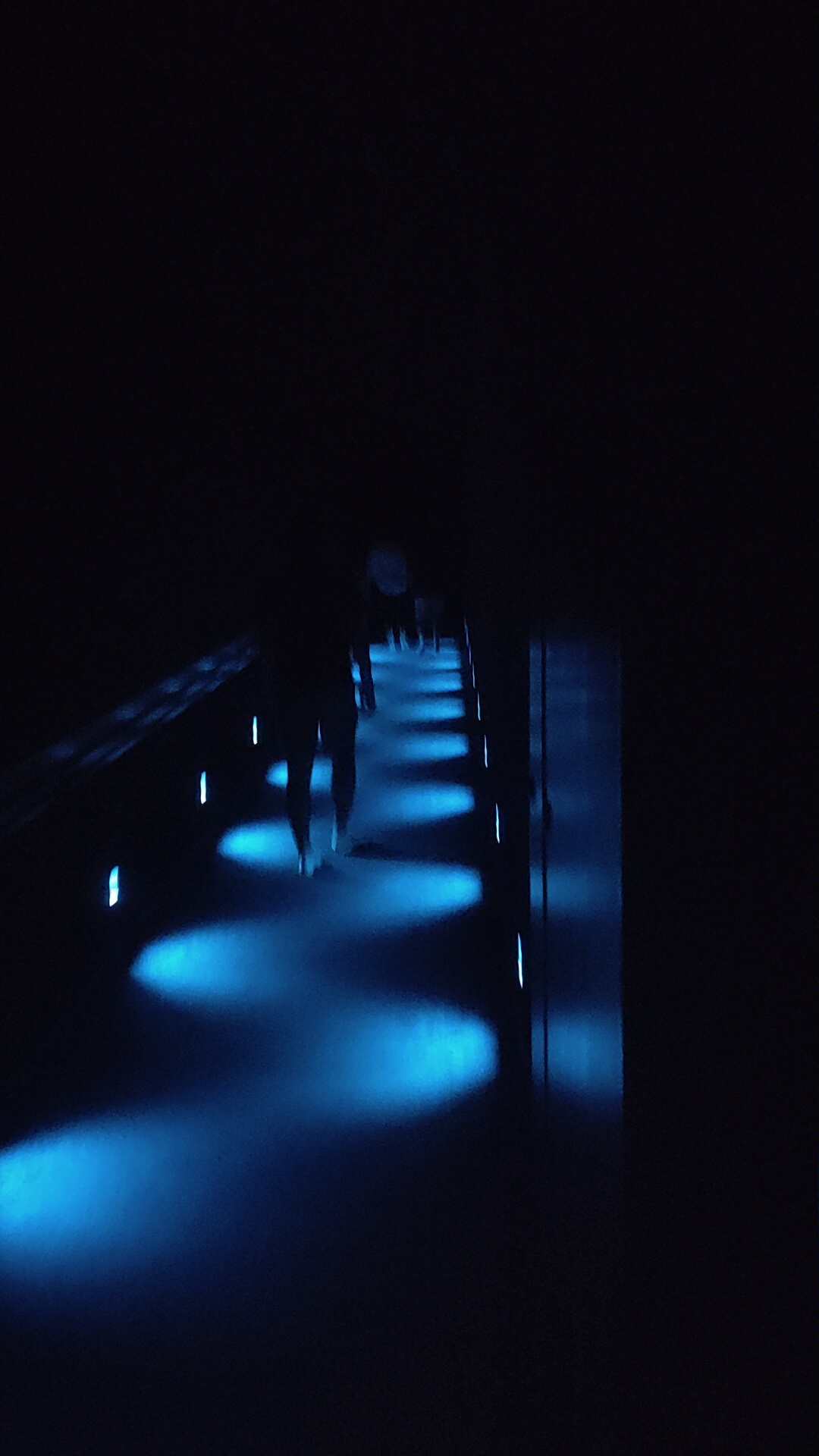 TeamLab Planets, premier couloir
