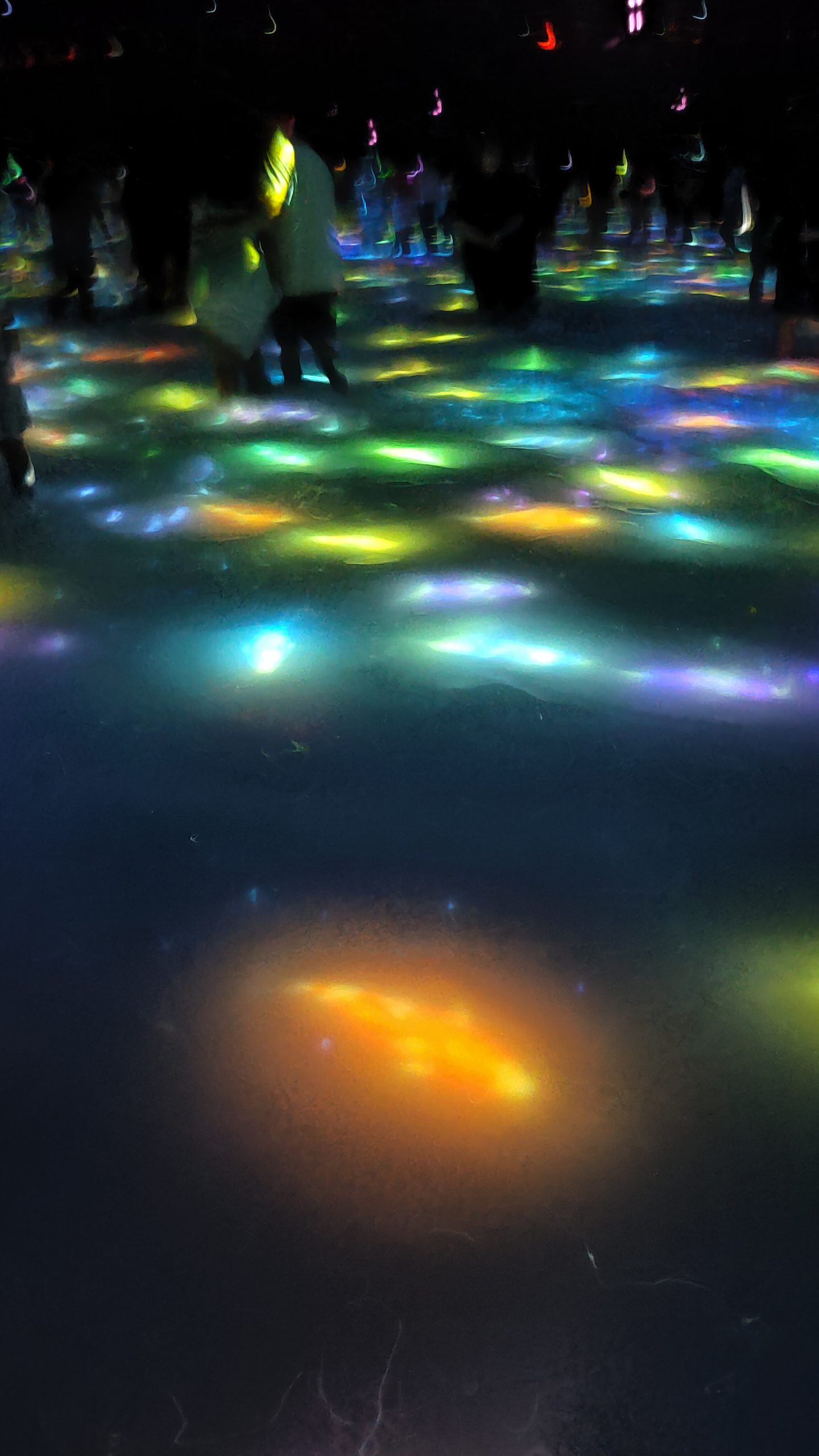 TeamLab Planets, Drawing on the Water Surface