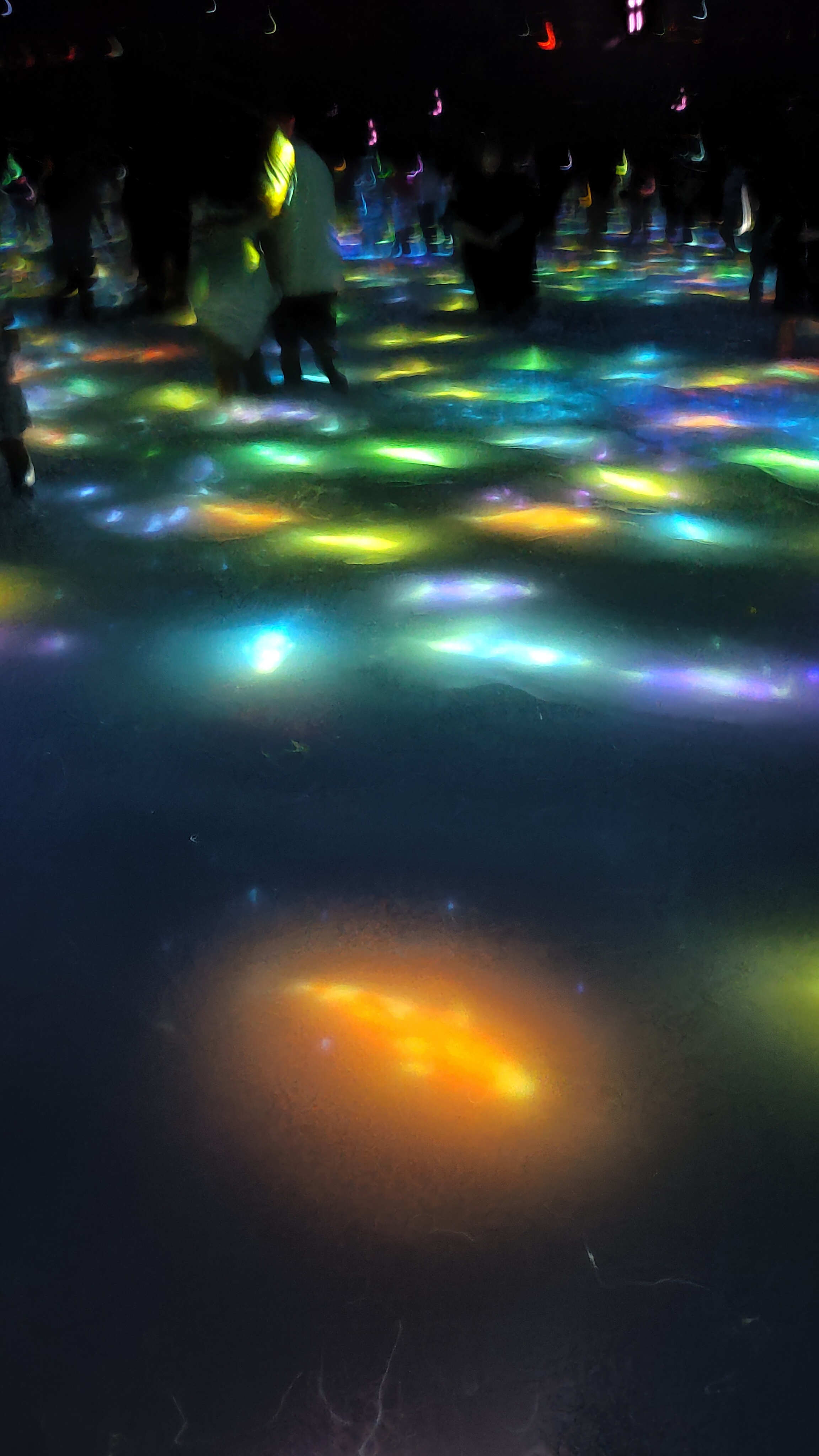 TeamLab Planets, Drawing on the Water Surface
