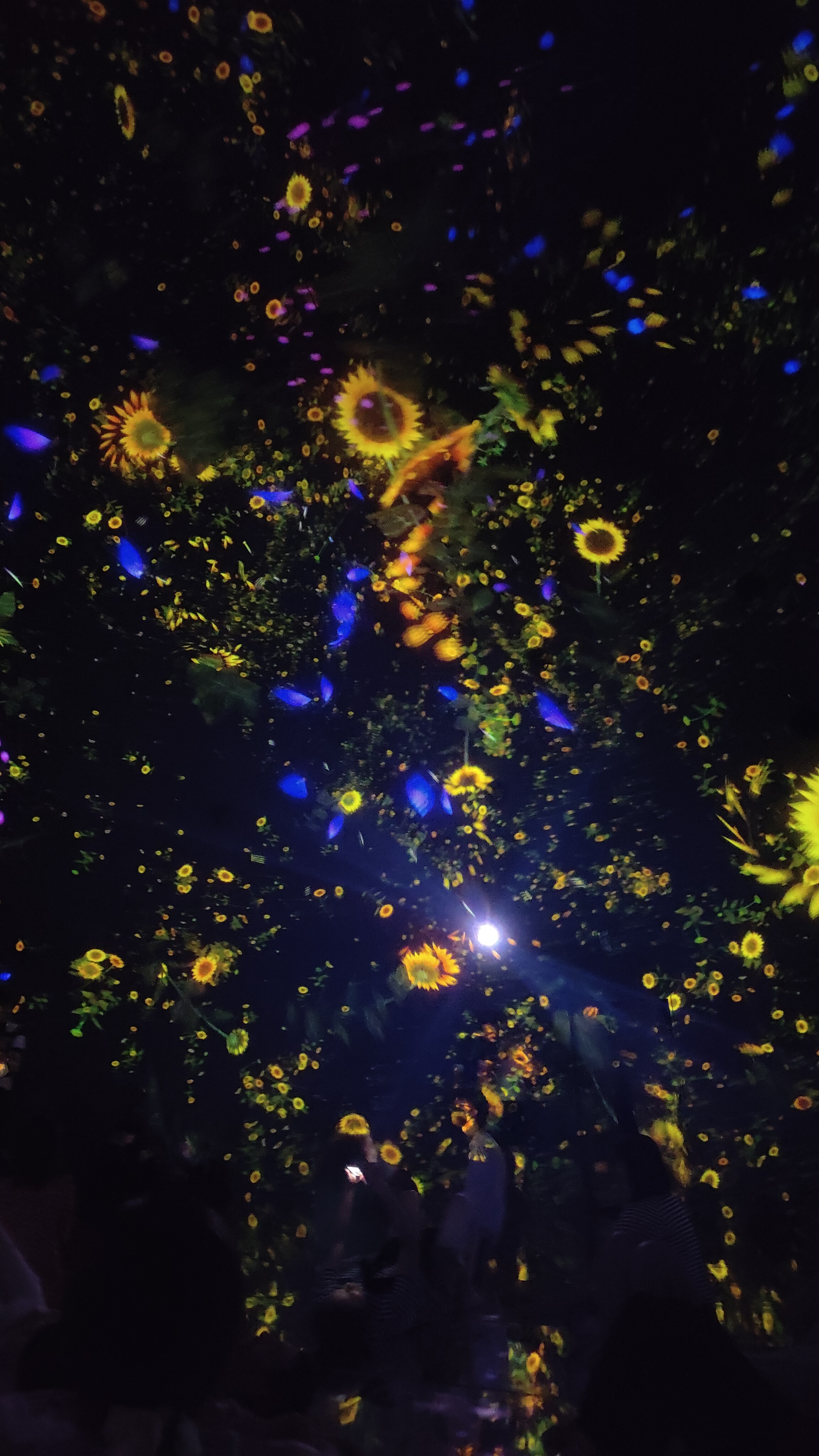 TeamLab Planets, Floating in the Falling Universe of Flowers