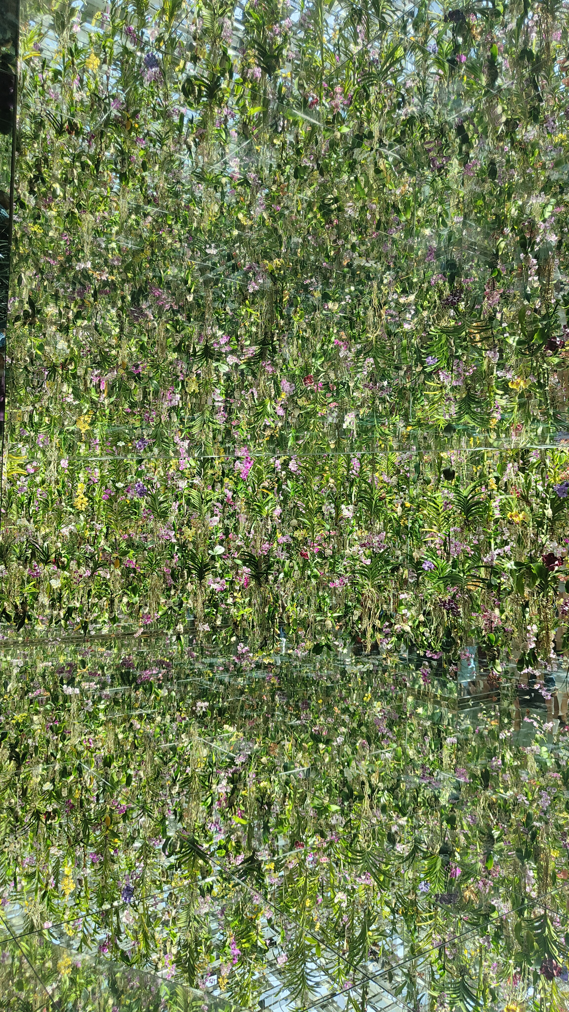 TeamLab Planets, Floating Flower Garden