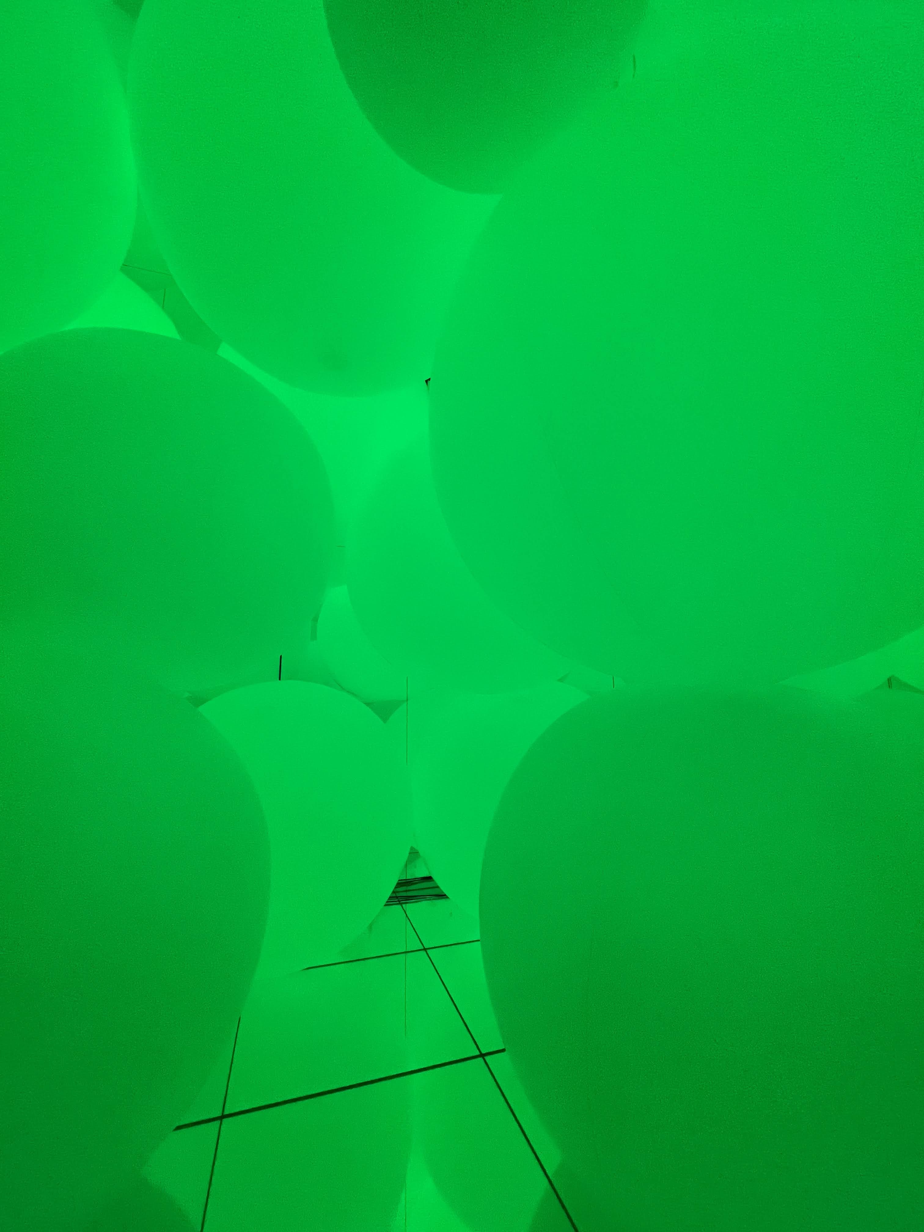 TeamLab Planets, Expanding Three-dimensional Existence in Transforming Space