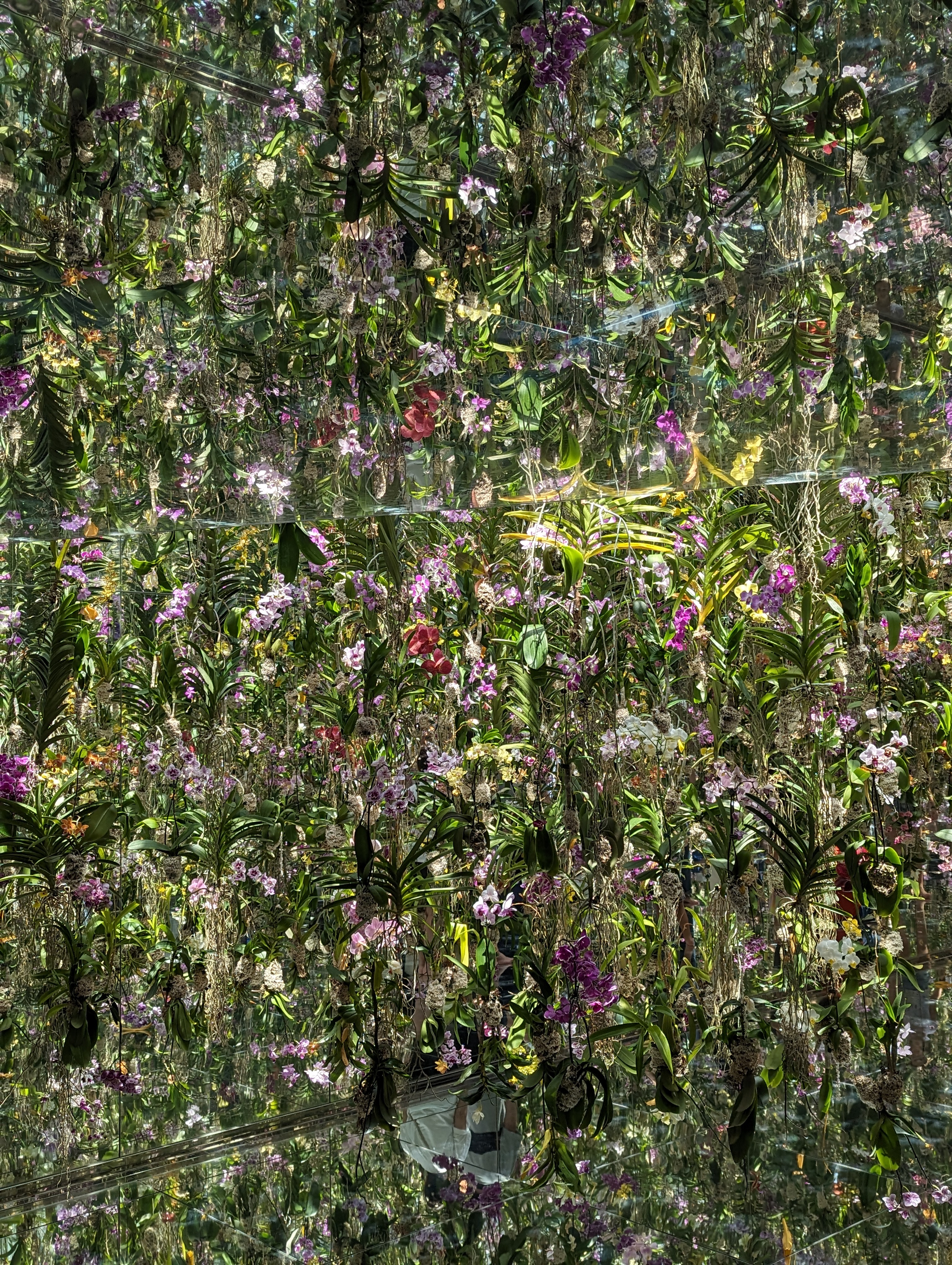 TeamLab Planets, Floating Flower Garden