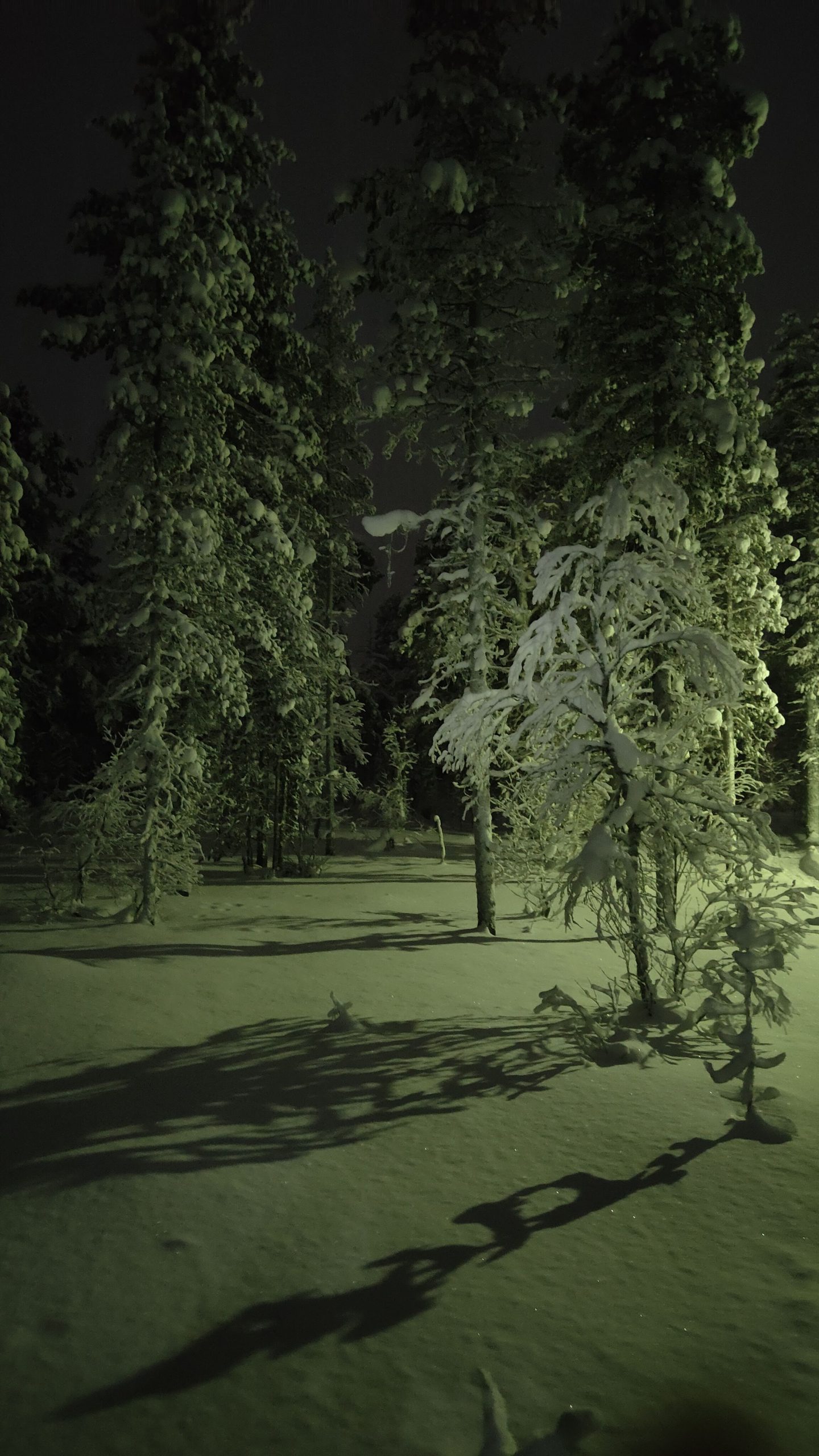 Balade au Wilderness Hotel Muotka