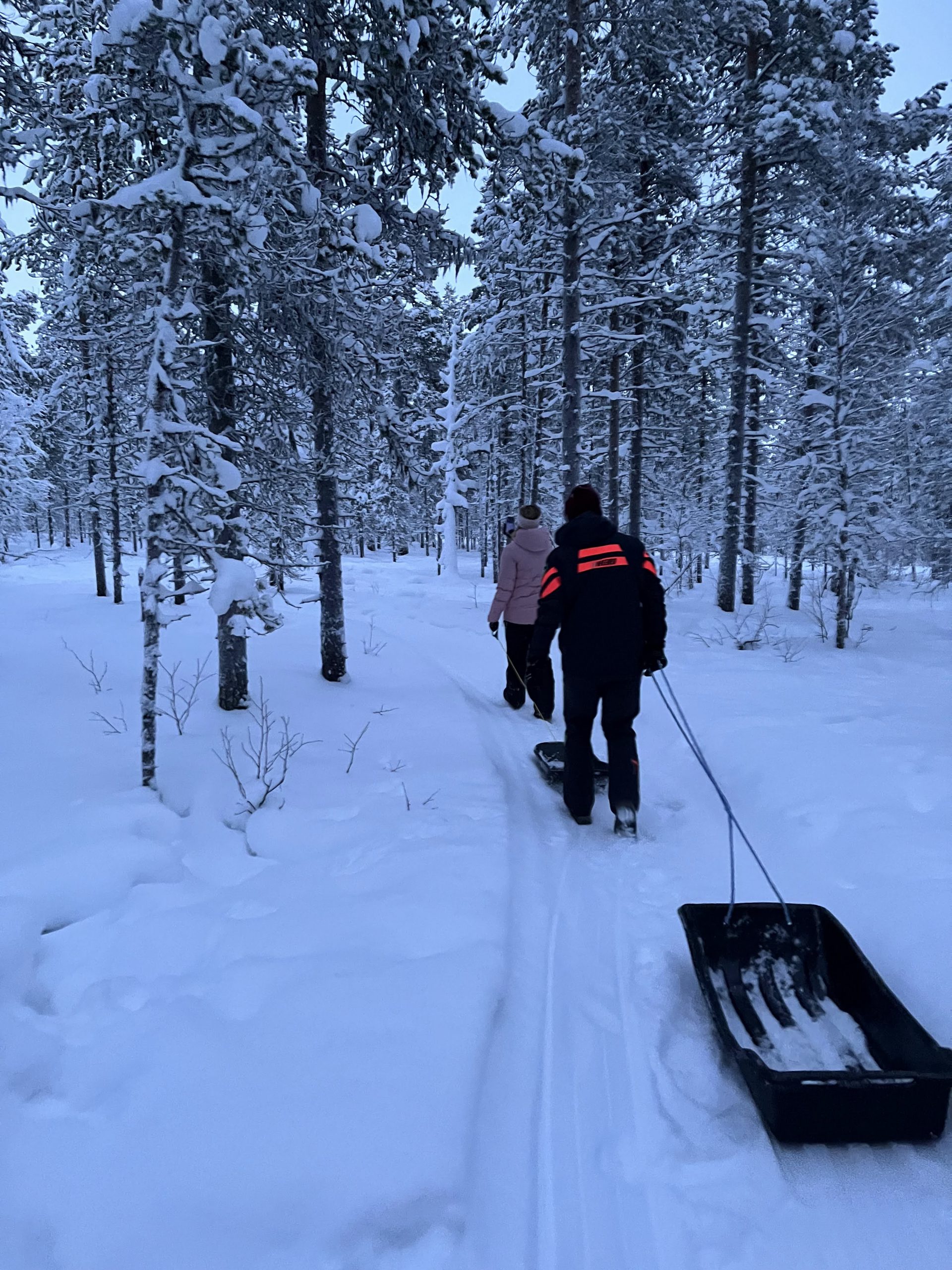 Balade au Wilderness Hotel Muotka