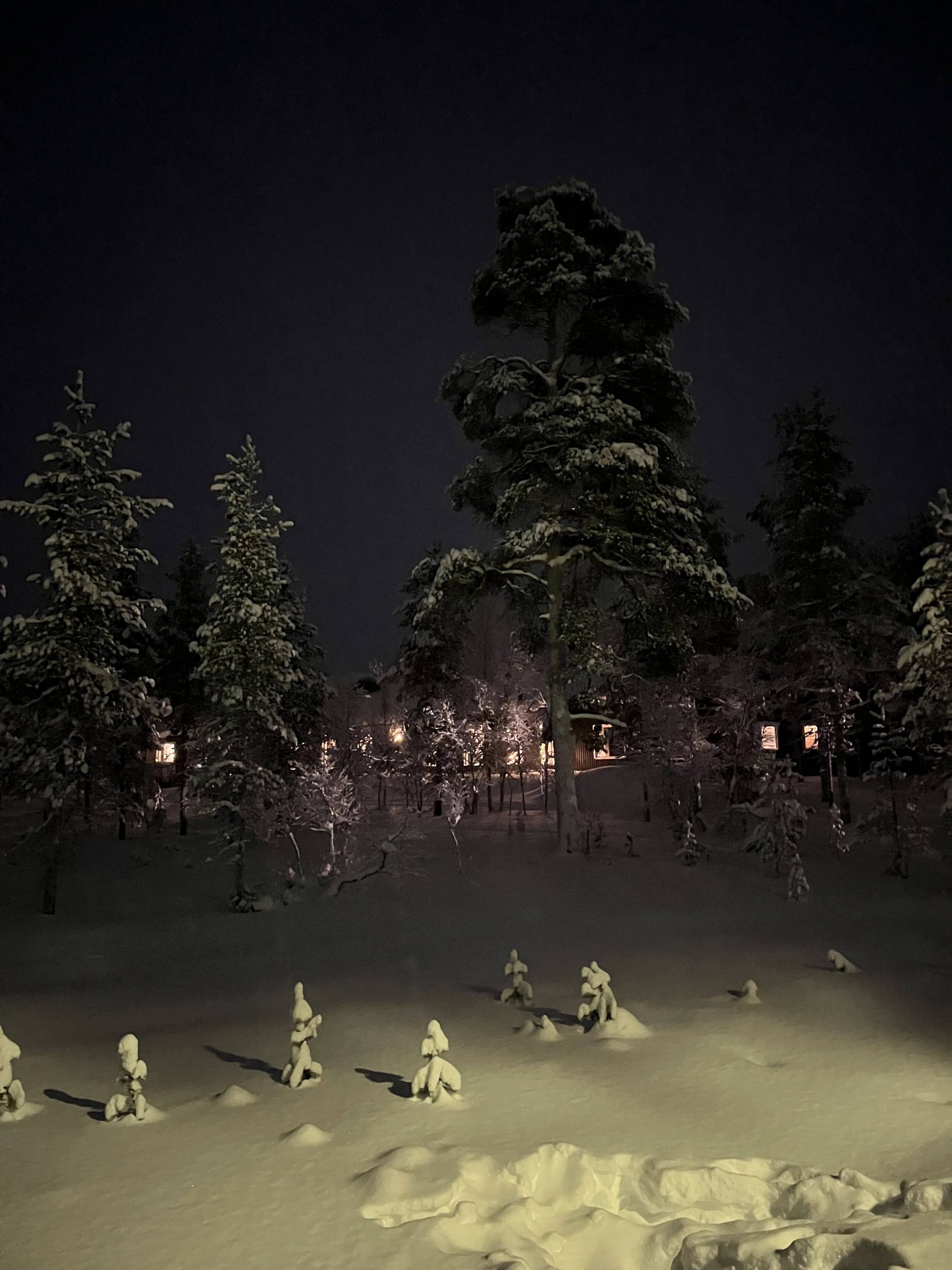Balade au Wilderness Hotel Muotka