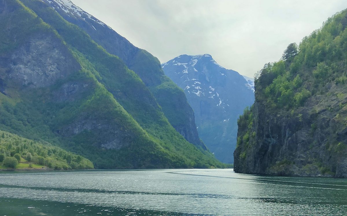 Découverte du Nærøyfjord via Flåm Excursion au Nærøyfjord