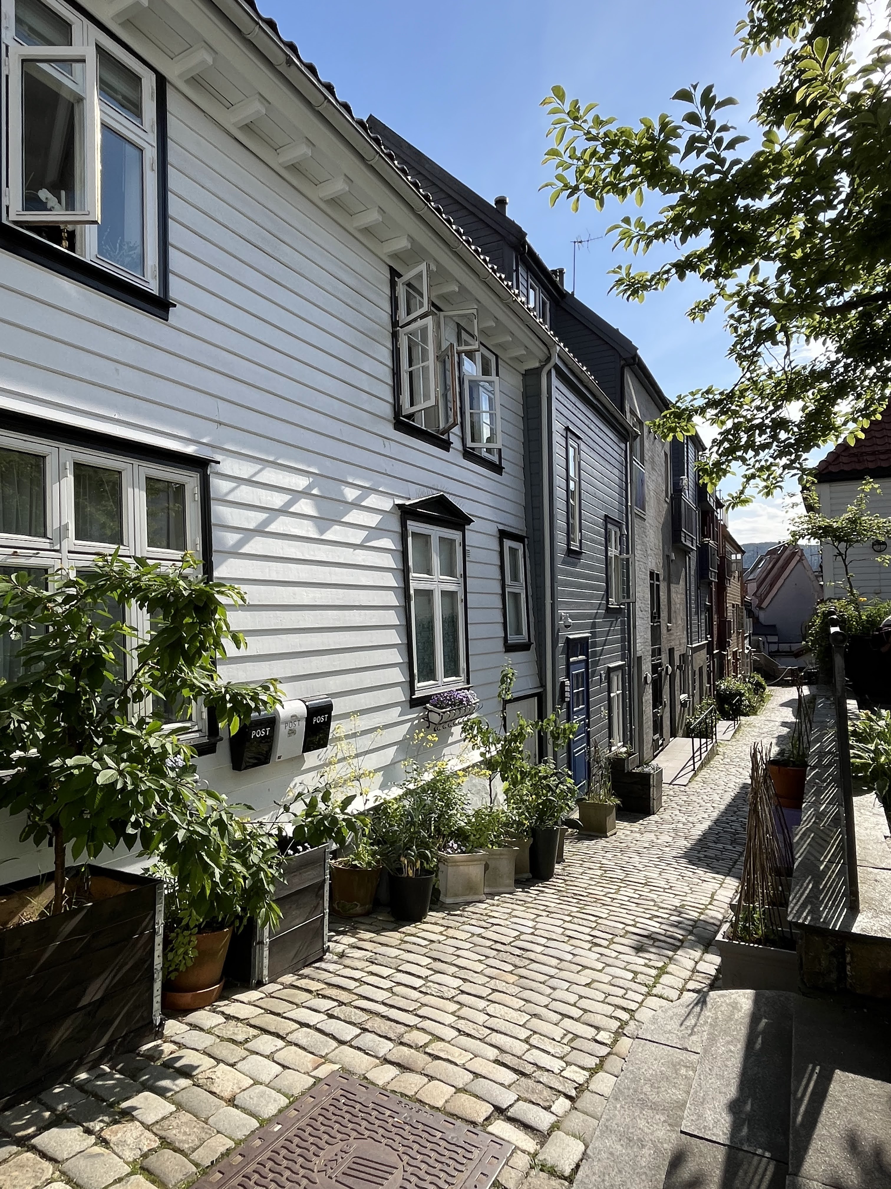 Descente du Mont Fløyen