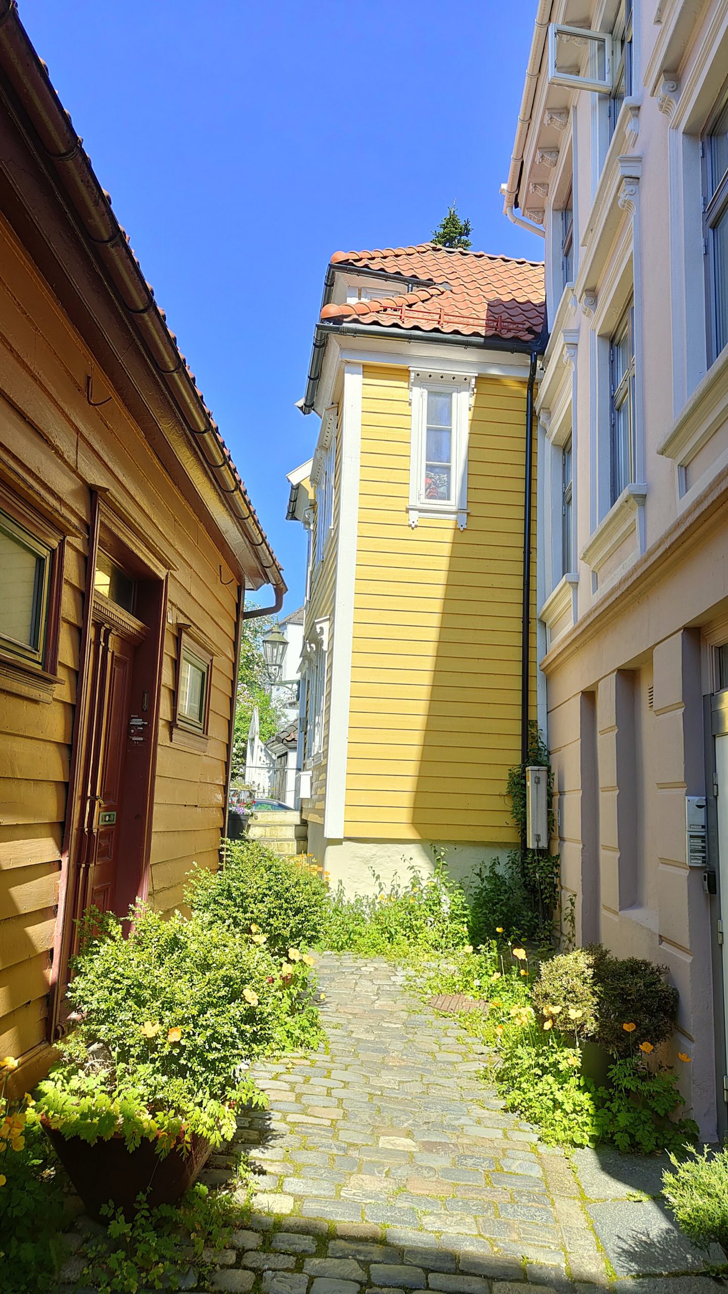 Nordnes