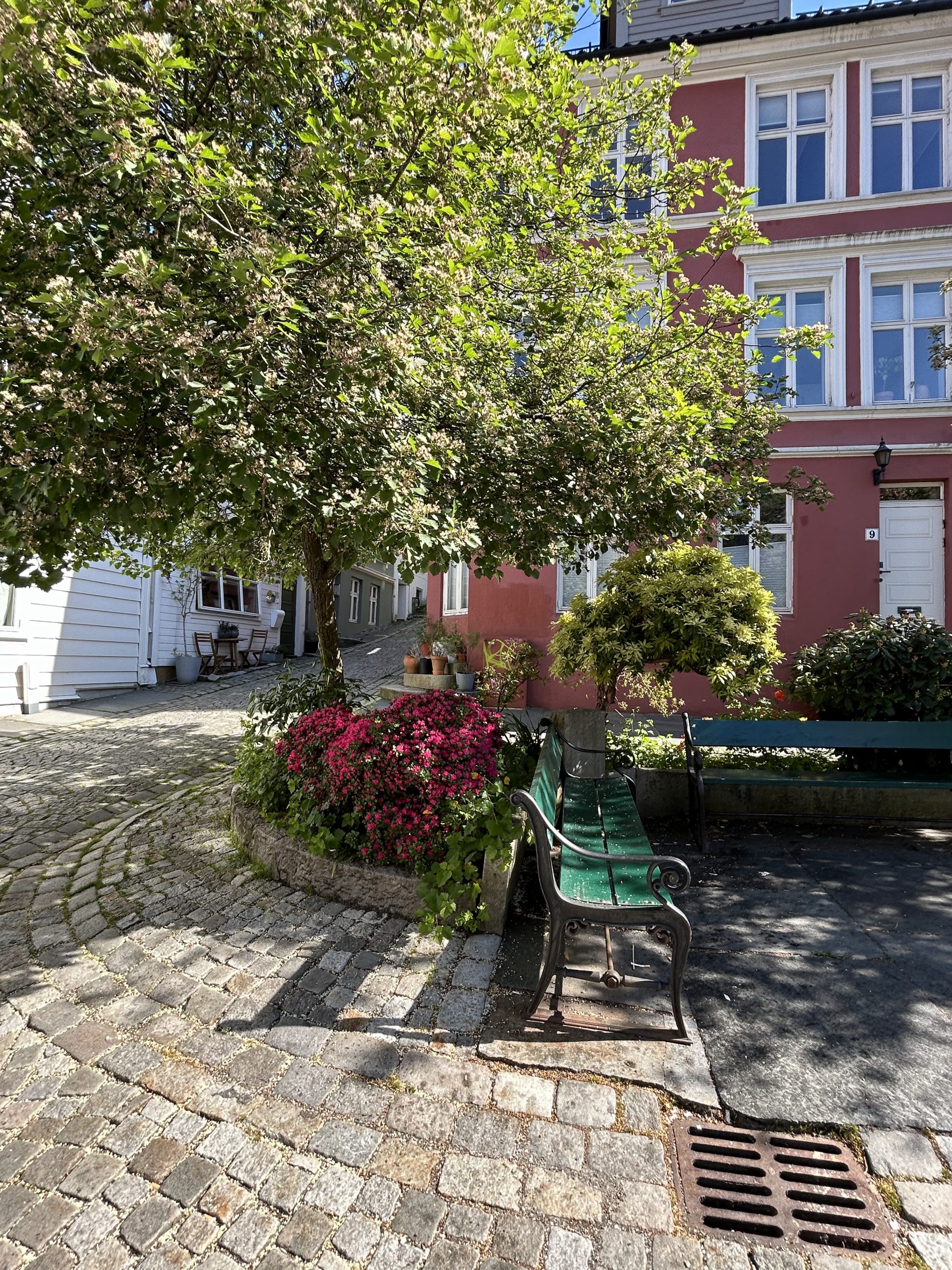 Nordnes