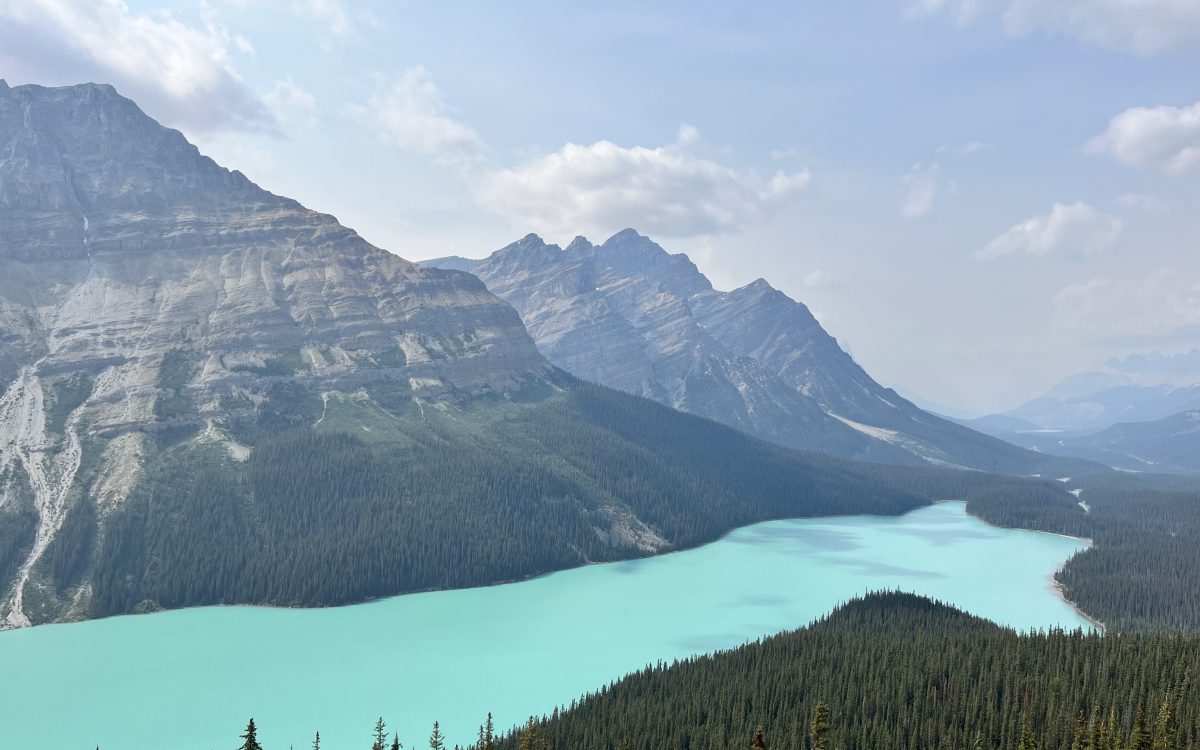 Côte Ouest – Canada et USA Lac Peyto