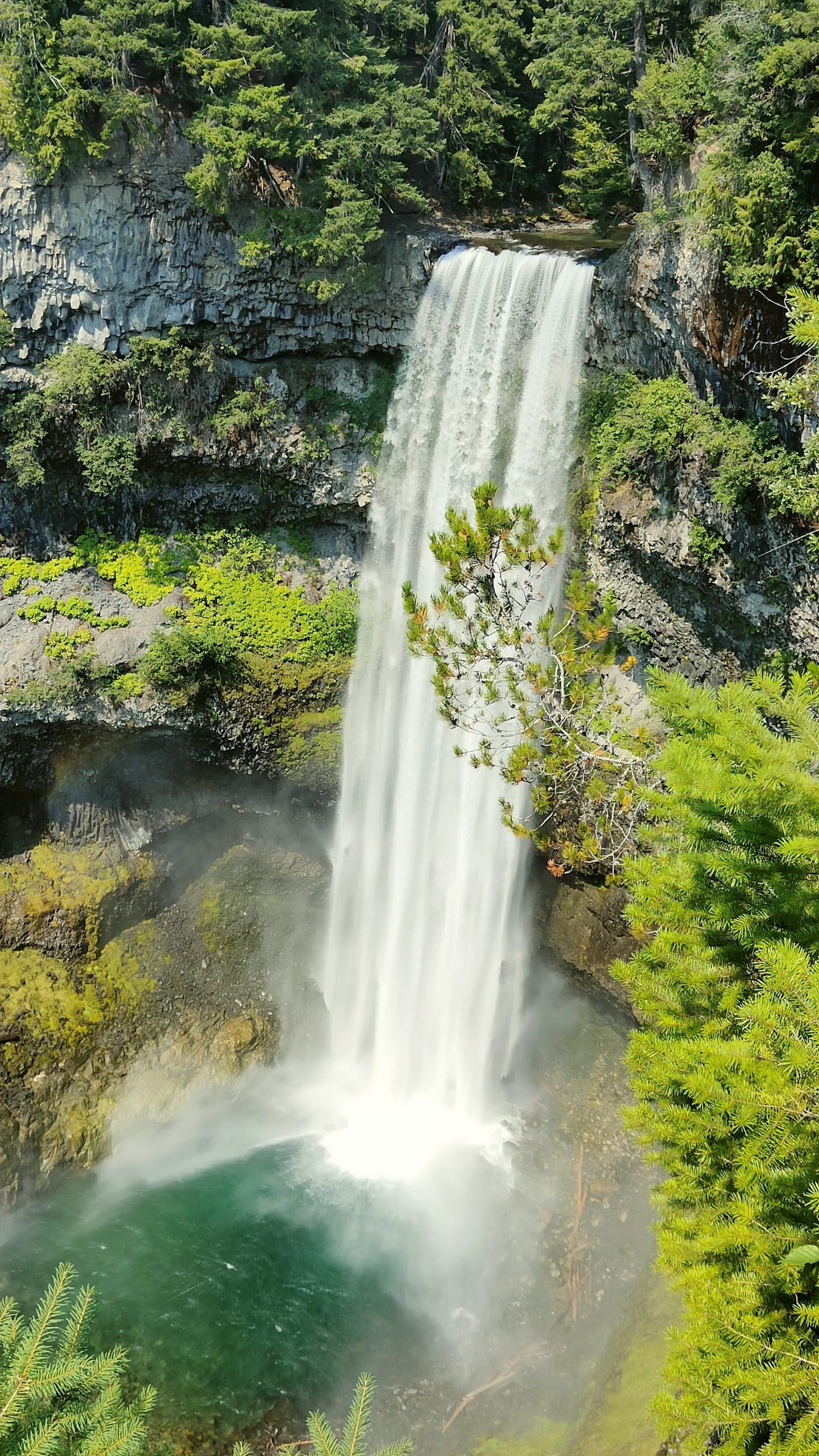 Brandywine Falls