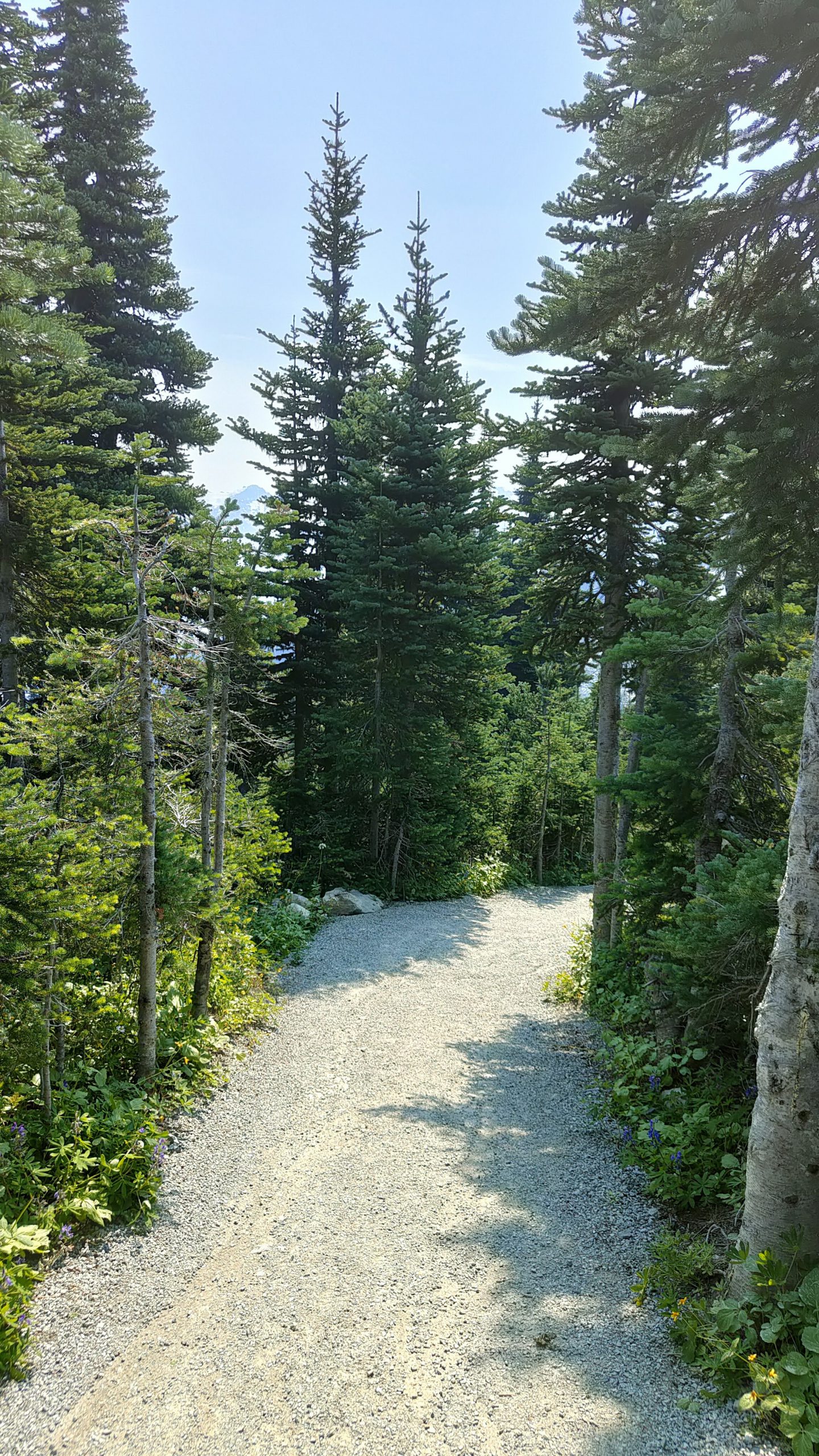 Harmony Lake Loop