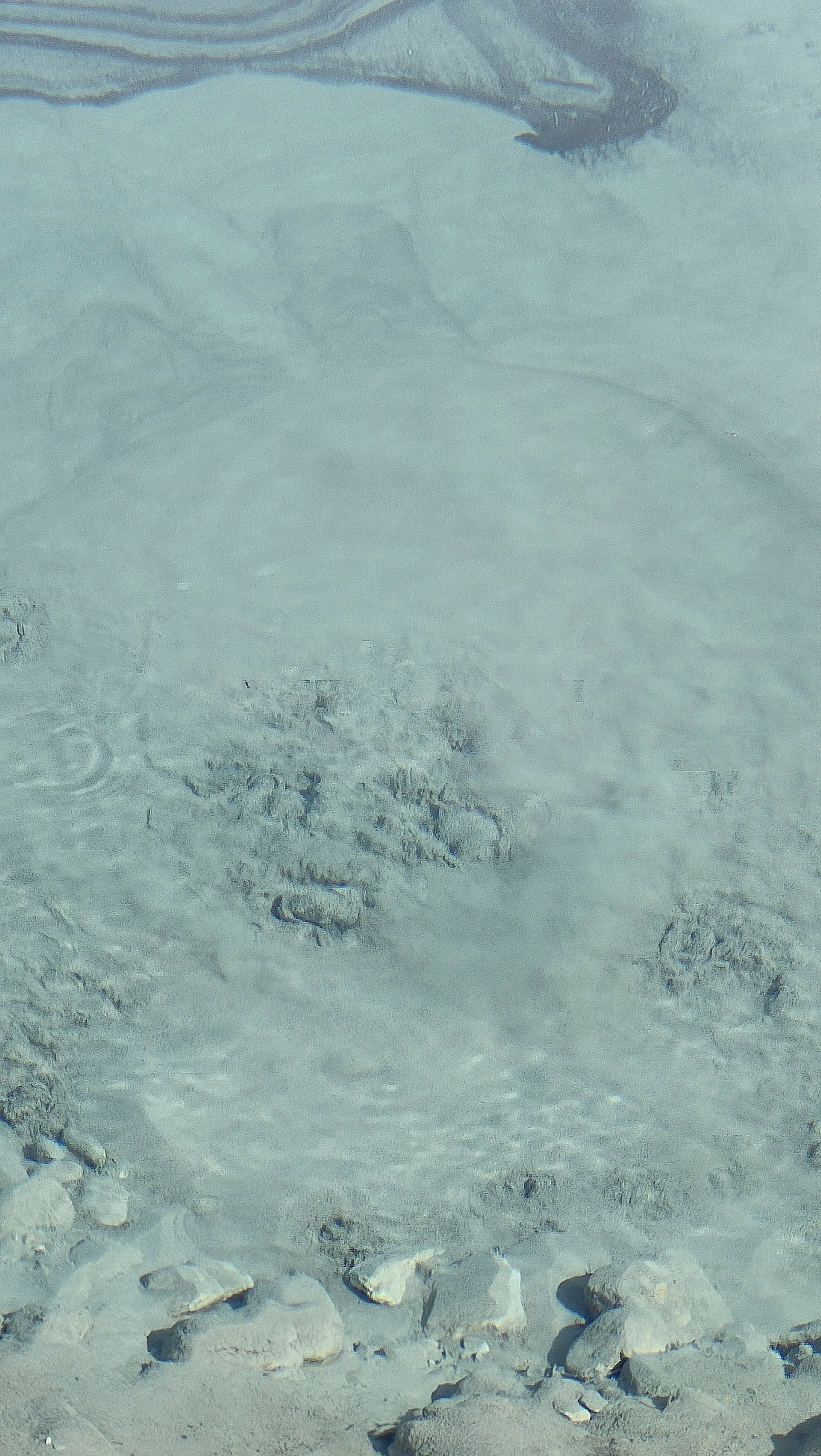 Ink Pots de Johnston Canyon