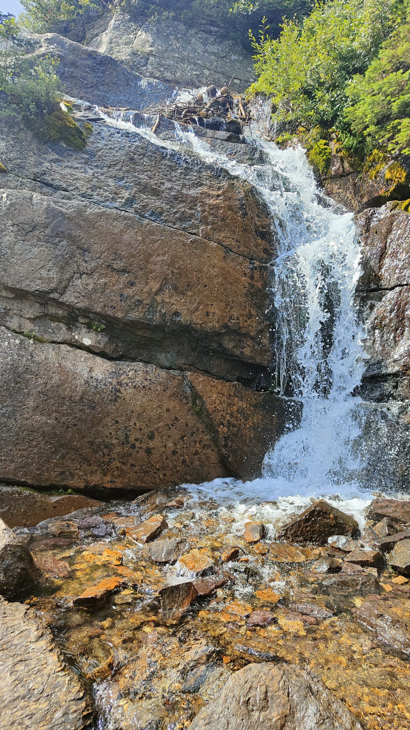 Agnes Lake Trail