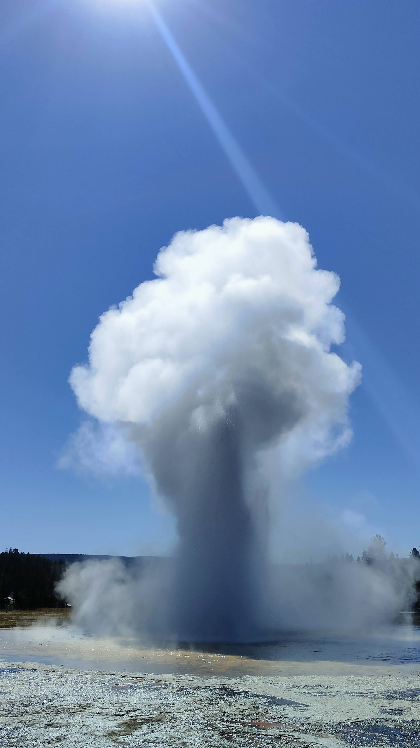 Daisy Geyser