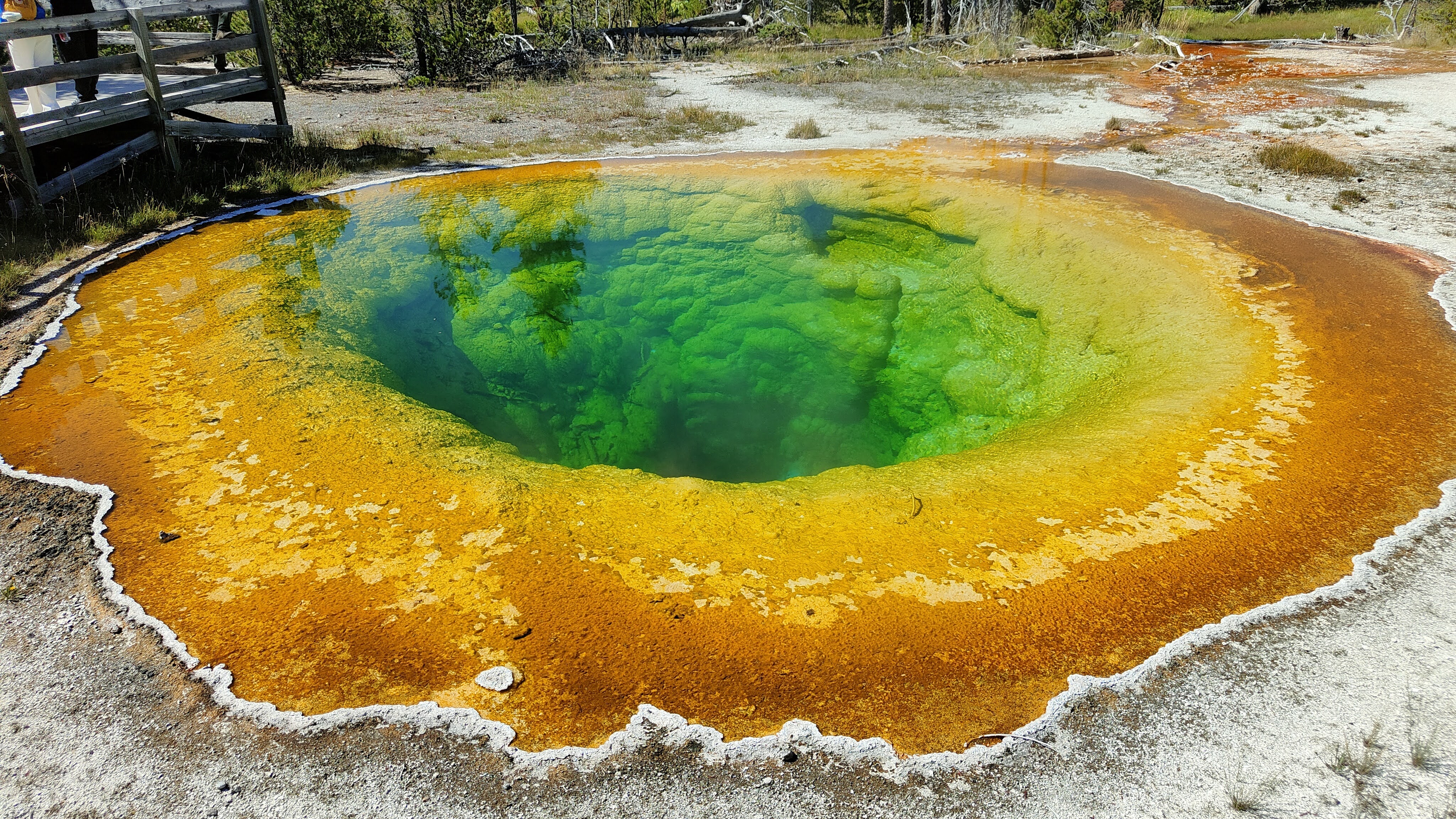 Morning Glory Pool