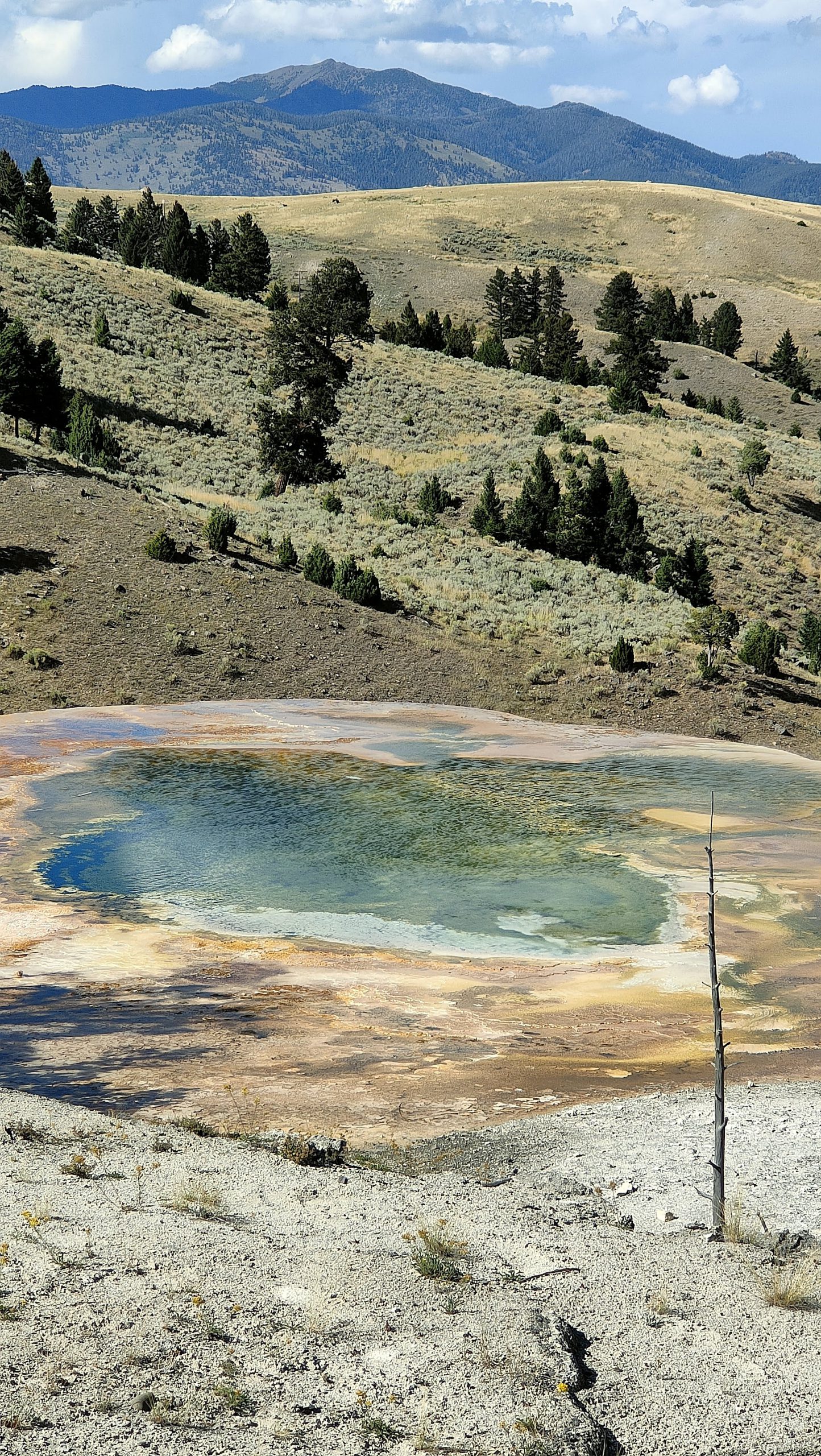 Mammoth Hot Springs