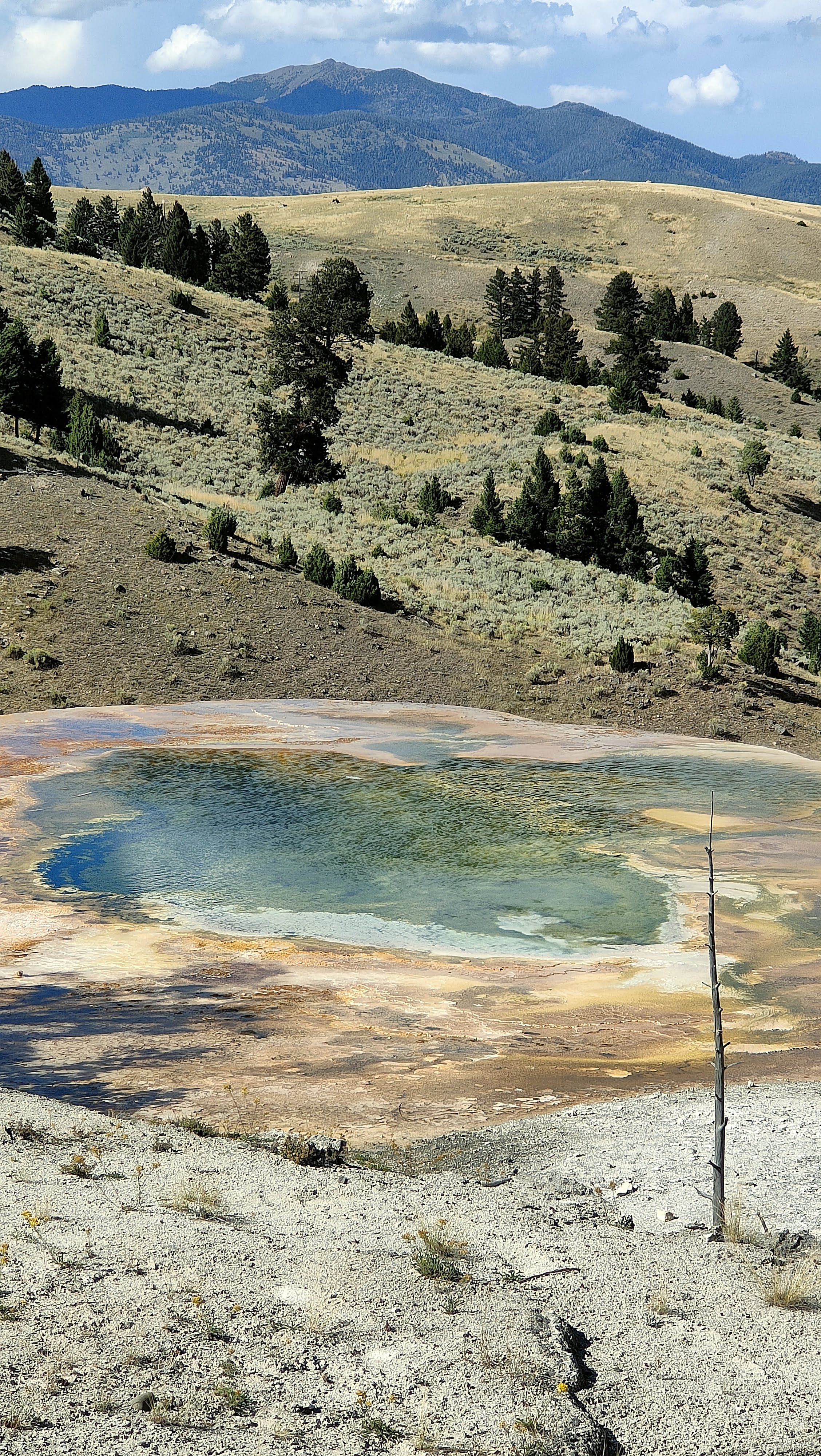 Mammoth Hot Springs