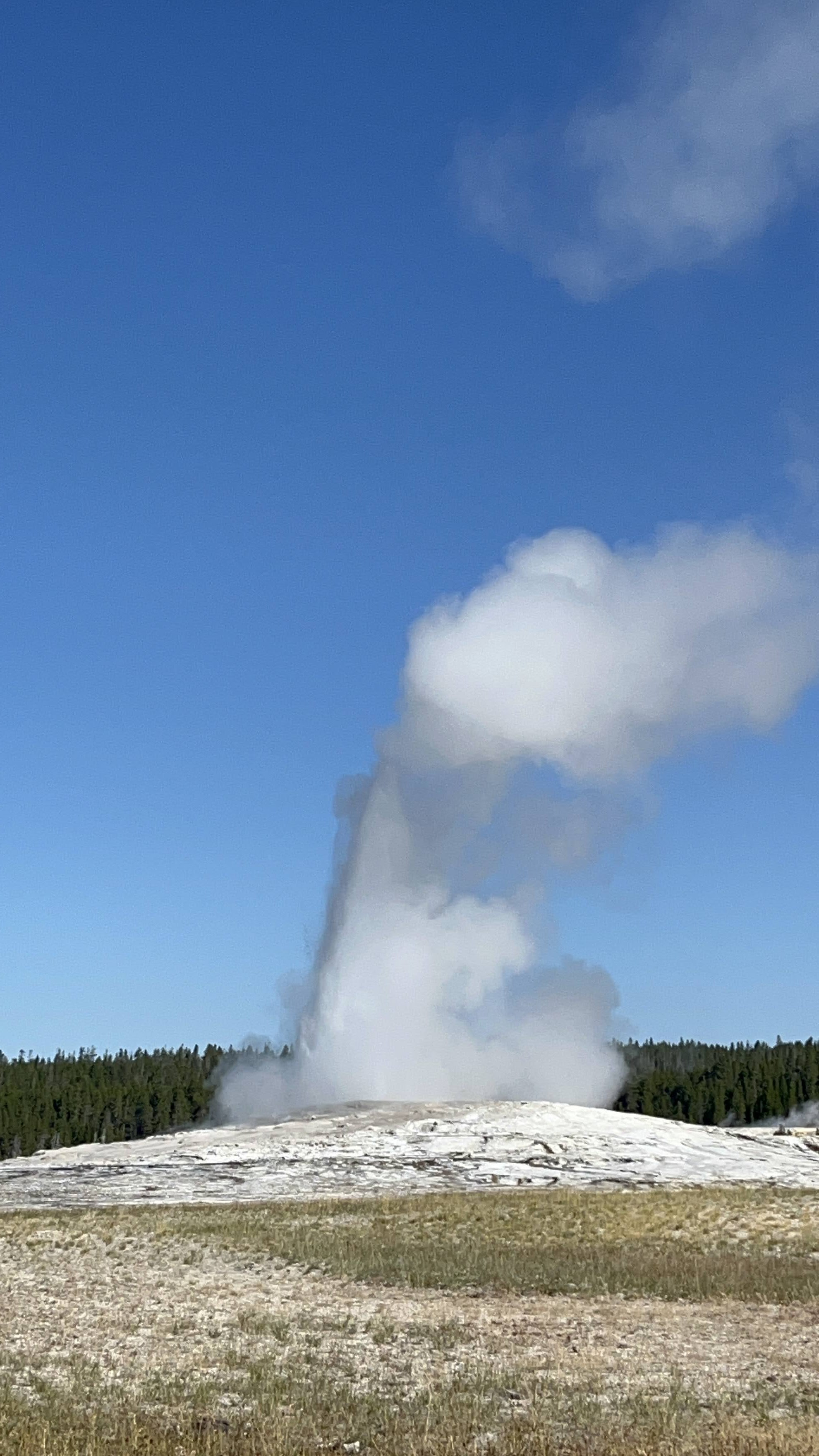 Old Faithful Geyser
