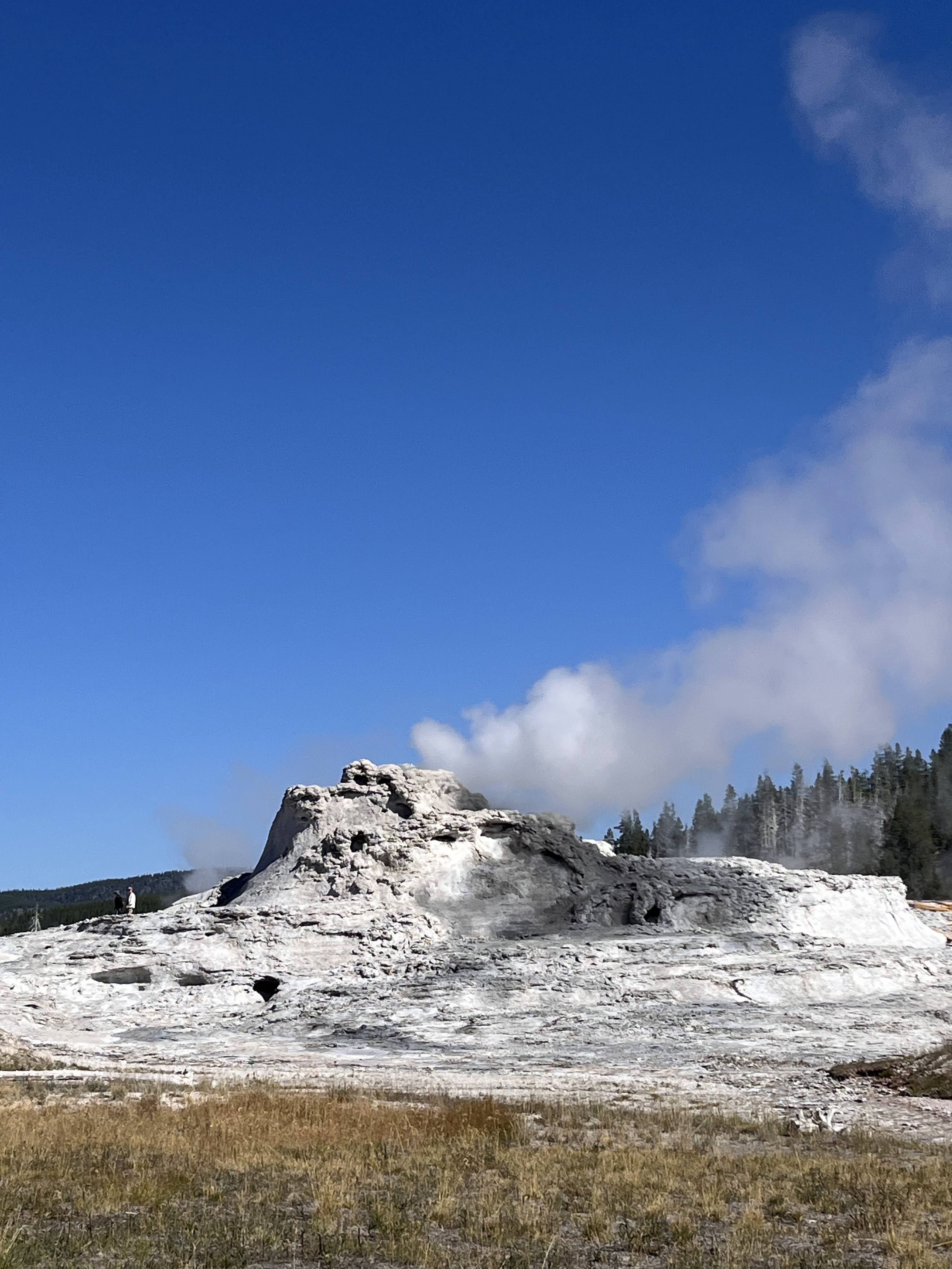 Castle Geyser