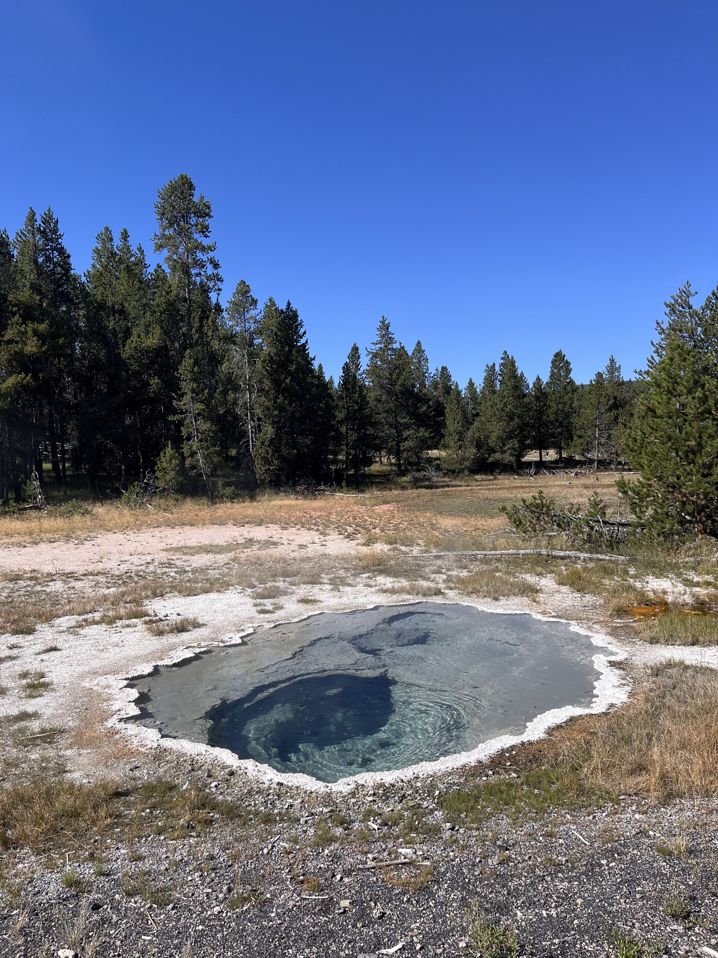 Upper Geyser Basin
