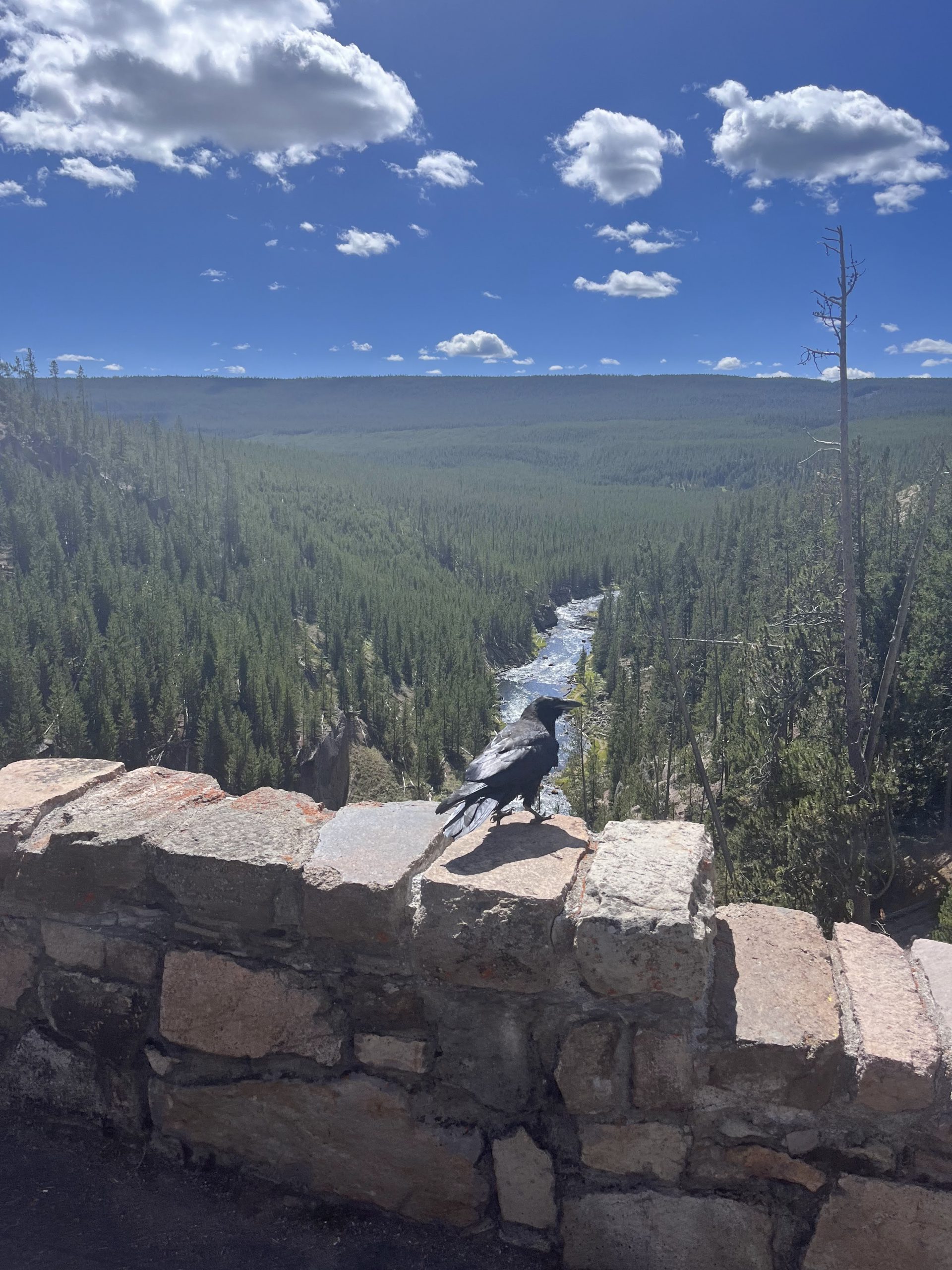 Gibbon Falls