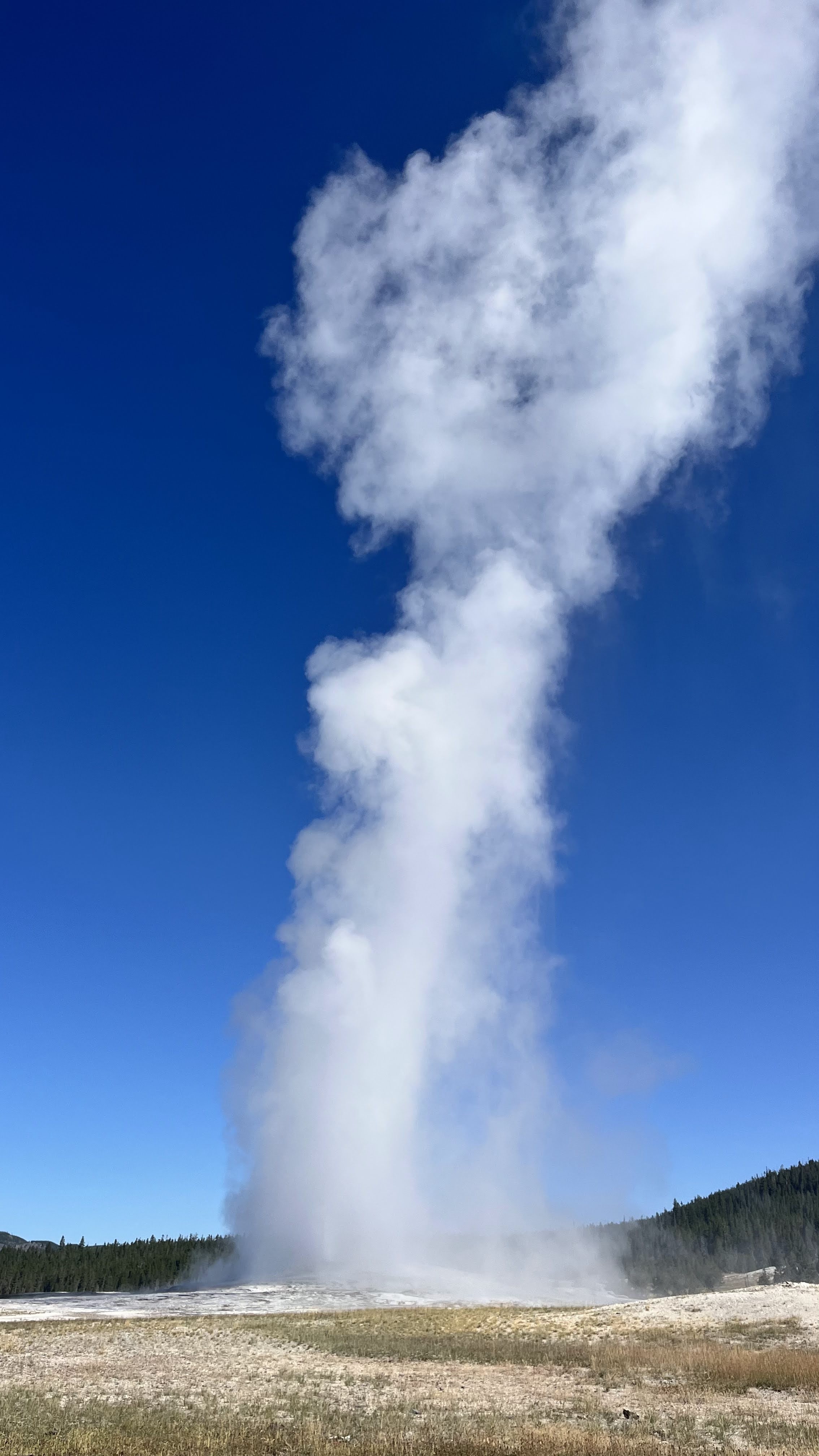 Old Faithful Geyser