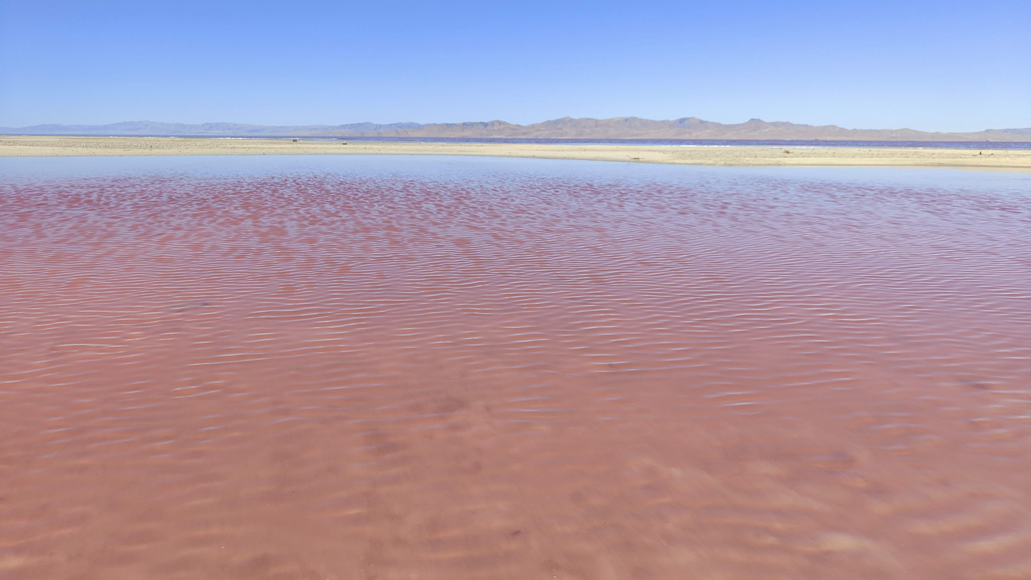 Lac rose à Stansbury Viewpoint