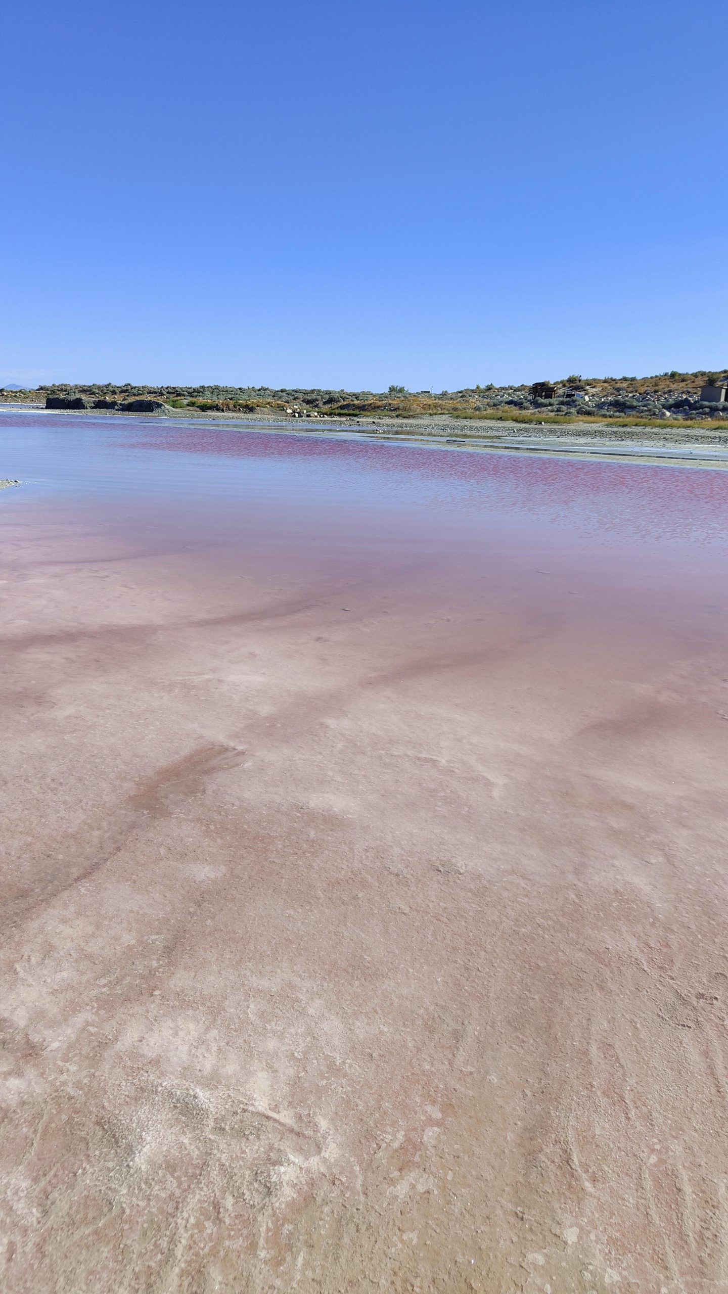 Lac rose à Stansbury Viewpoint