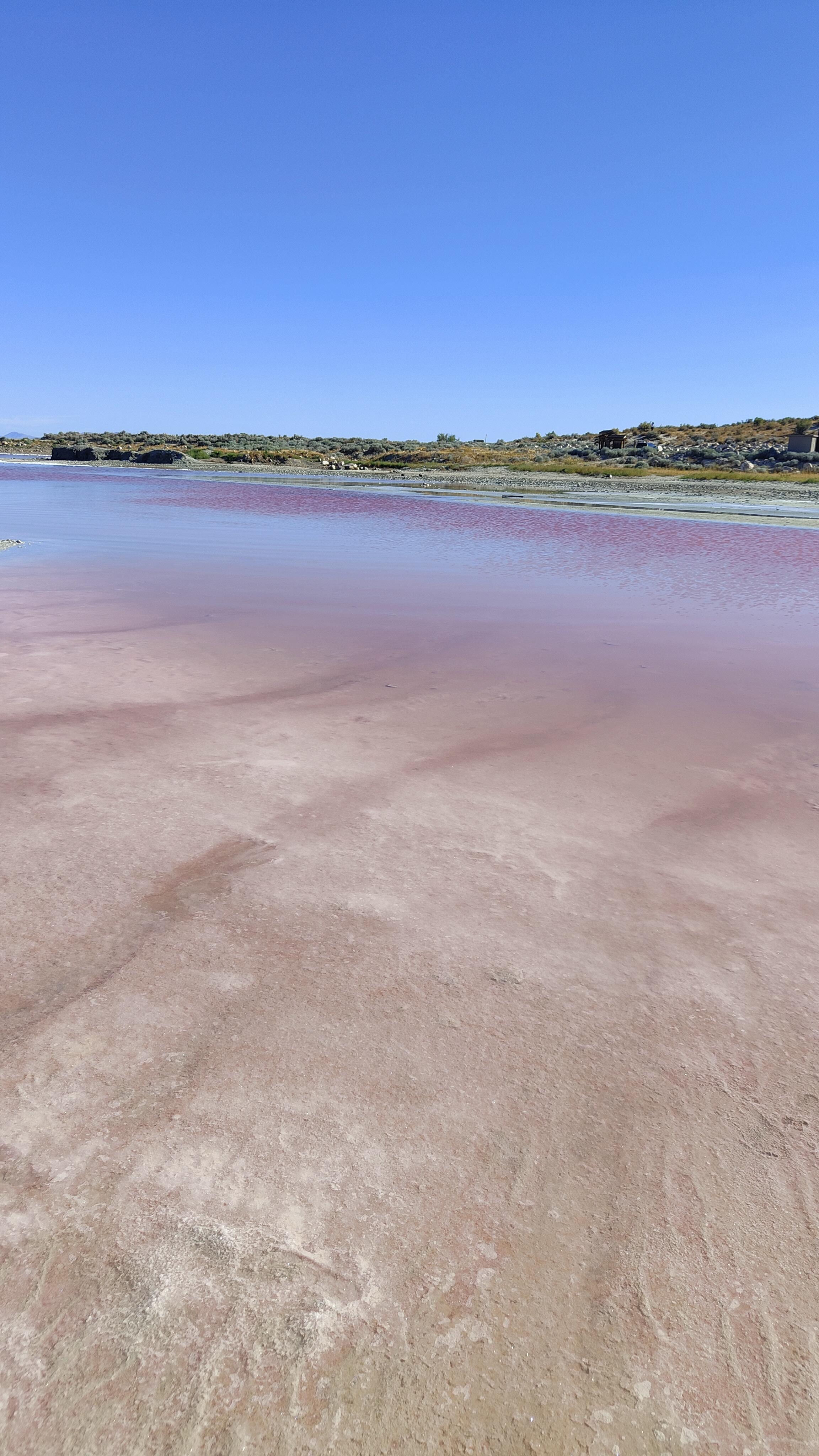 Lac rose à Stansbury Viewpoint