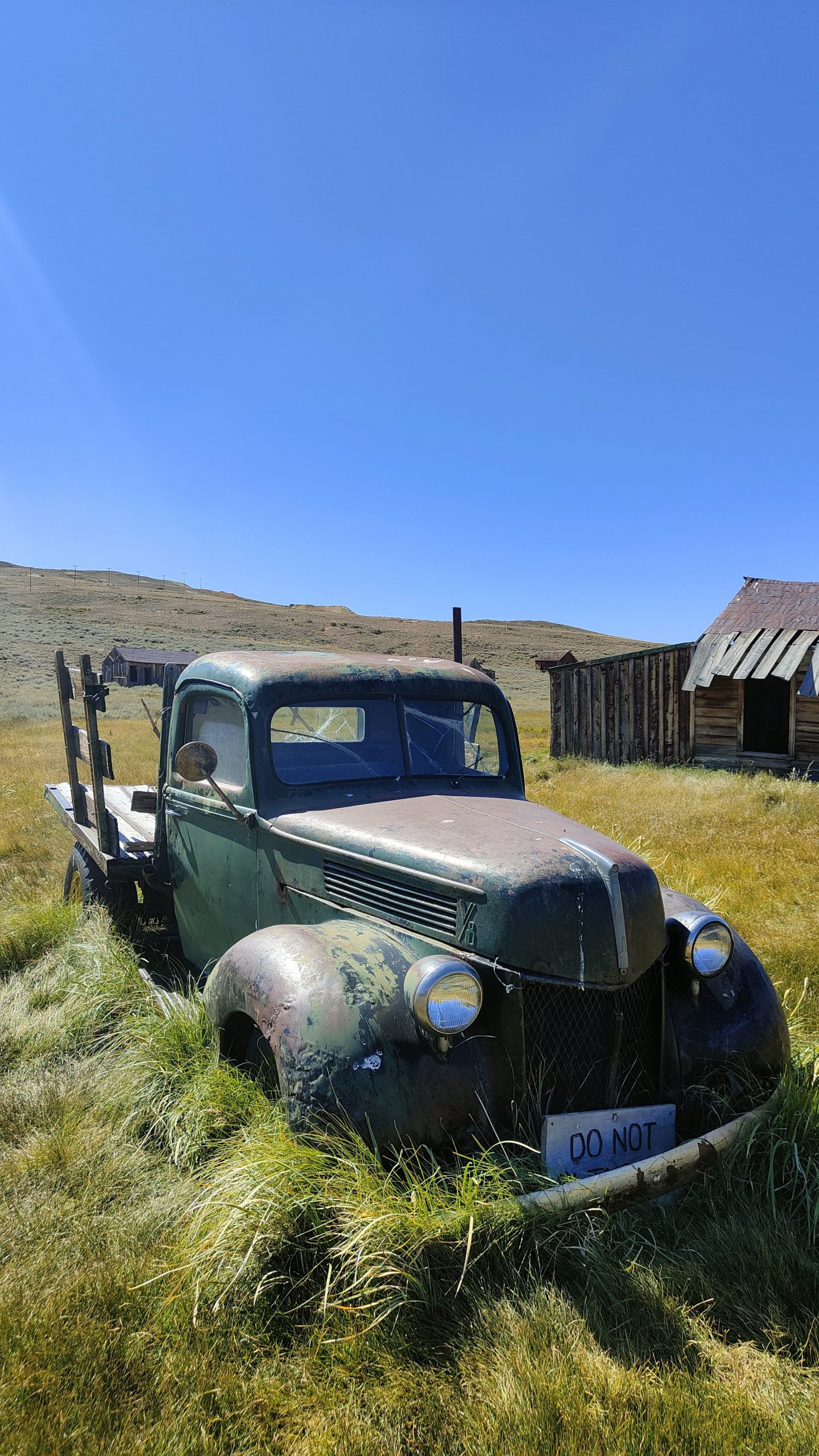 Bodie