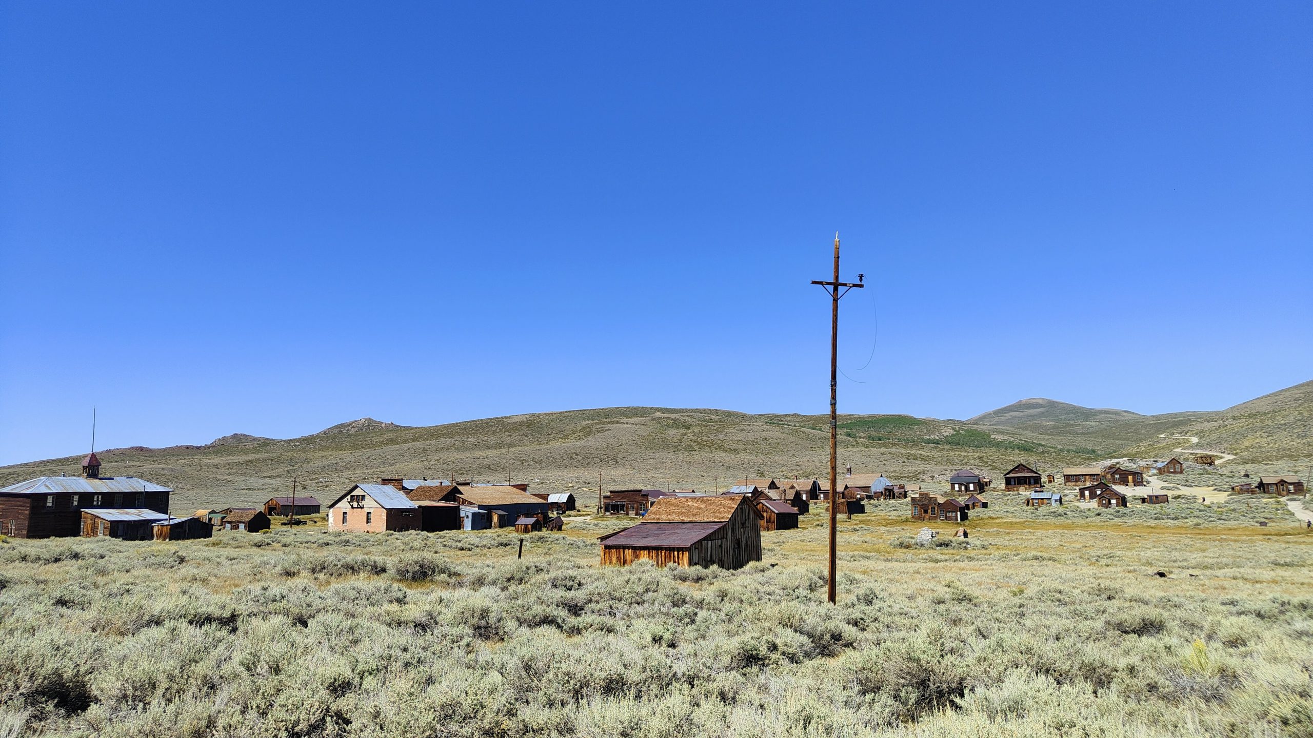 Bodie