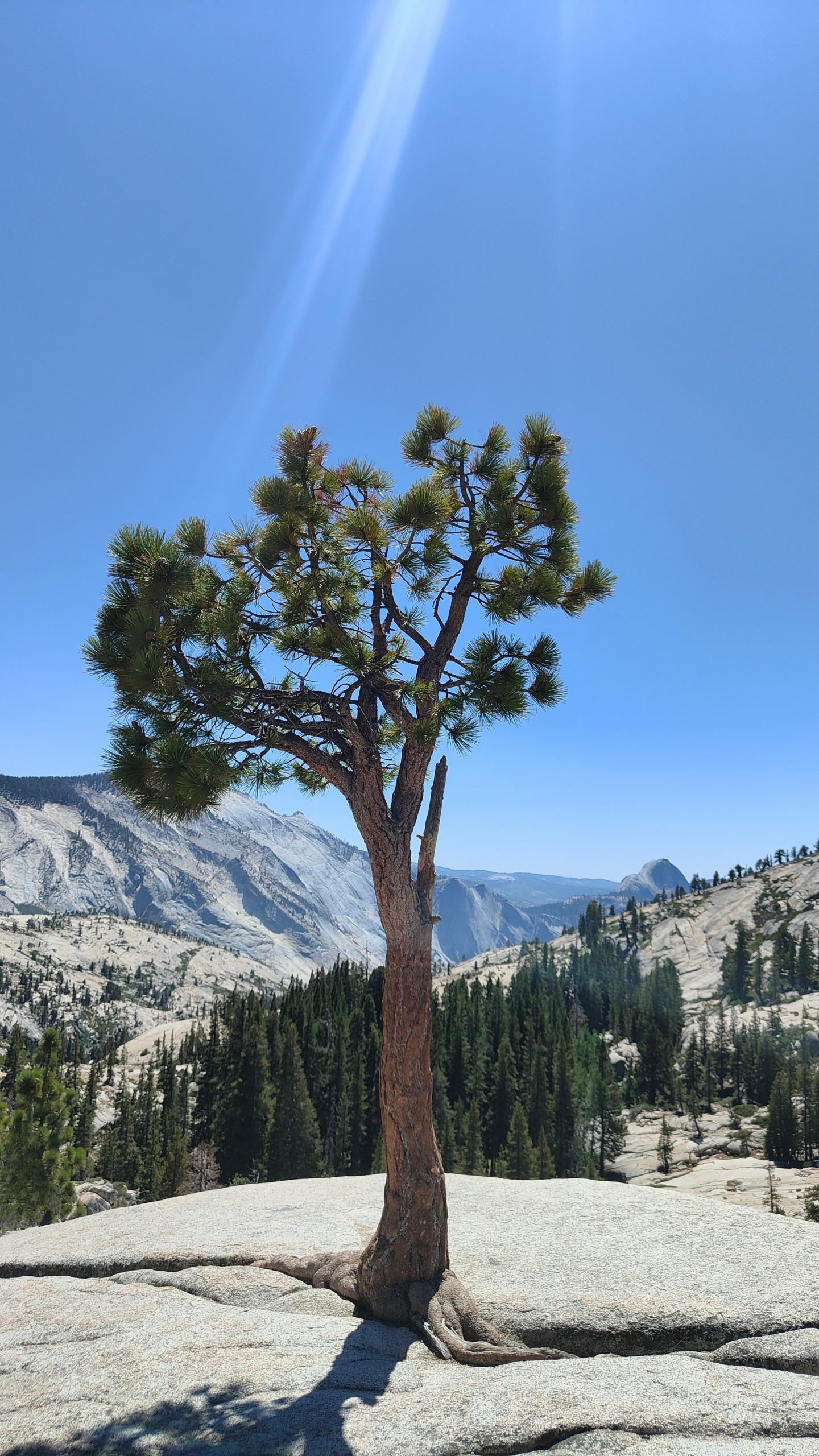 Olmsted Point