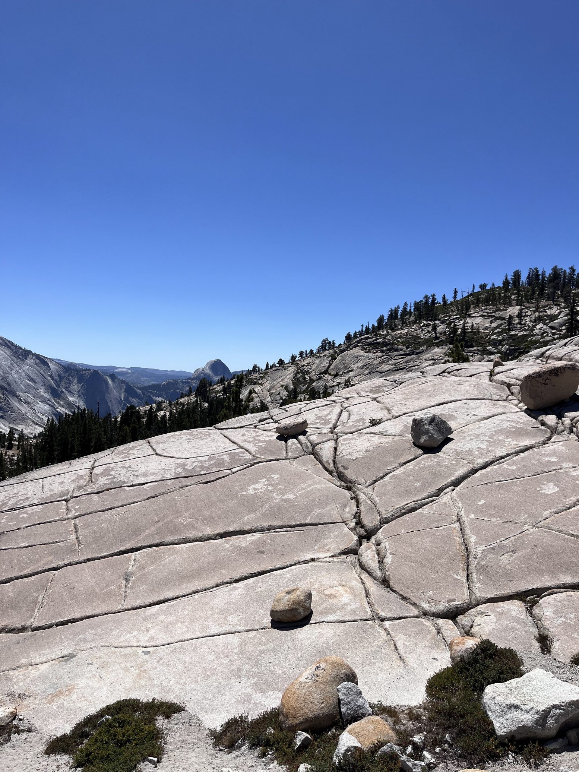 Olmsted Point