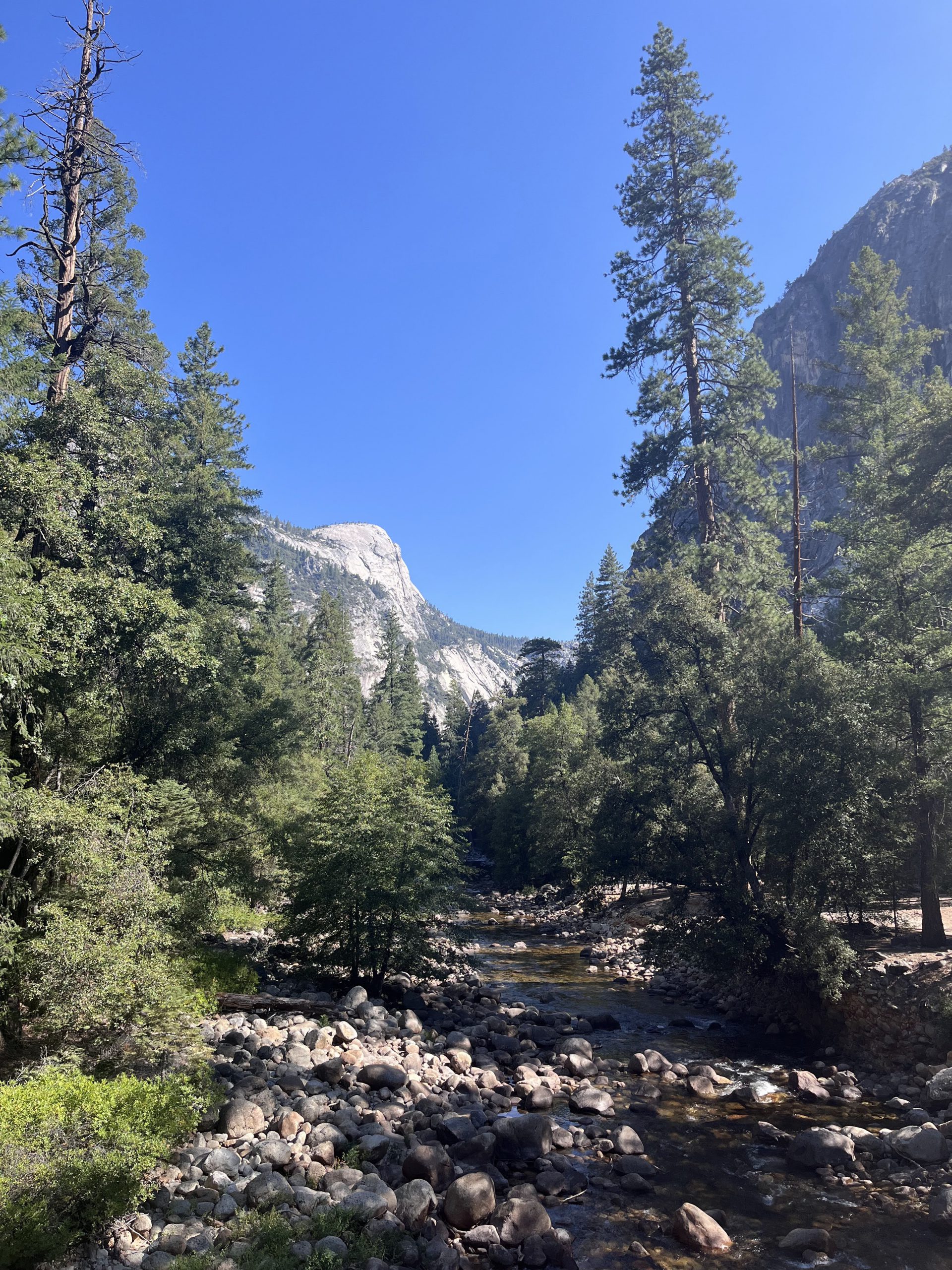 Mist Trail